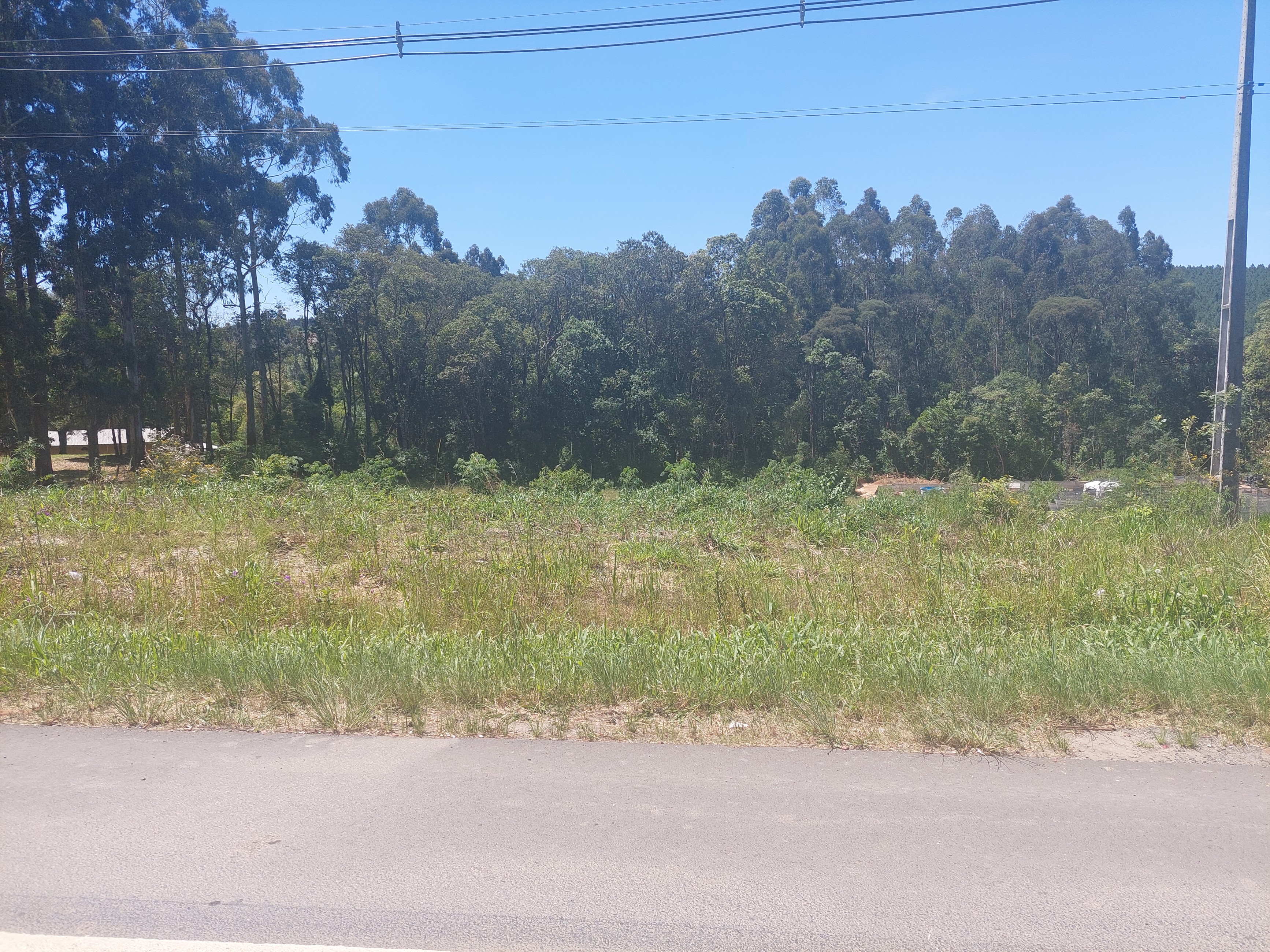 Imagem do Terreno Urbano com 10.300 m2 - 60 metros de Frente para BR 280