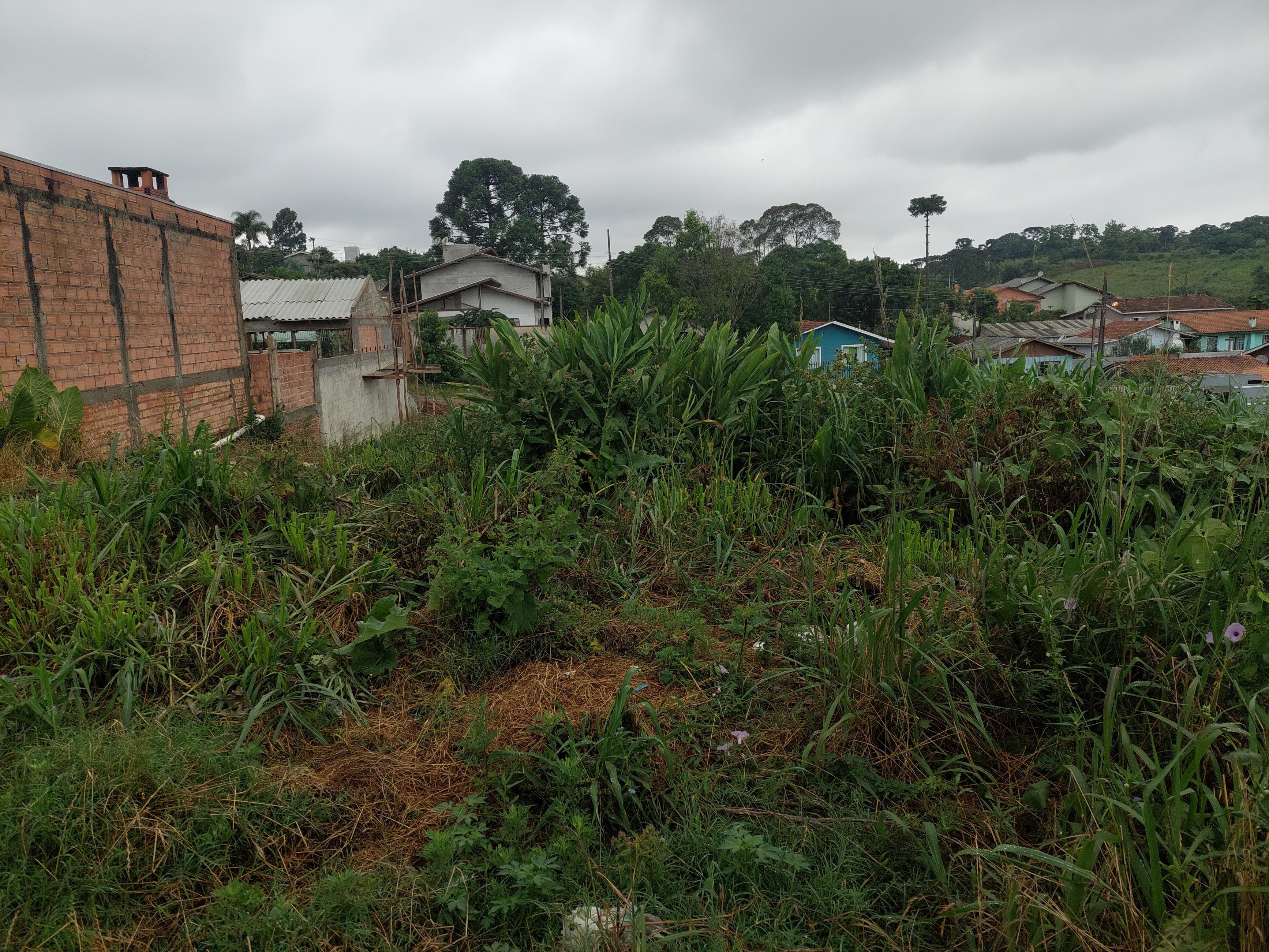 Imagem doLote Urbano com 465 m2 Bairro Industrial 1 - Rua AdÃ£o Tyska (15 x 31)