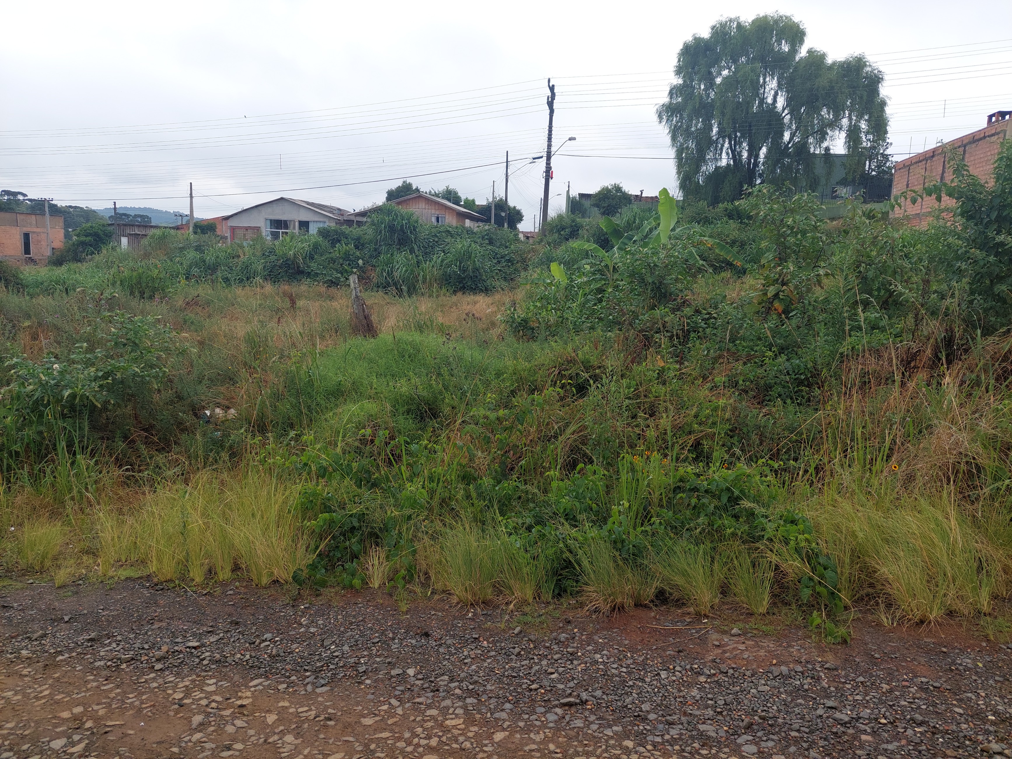 Imagem doLote Urbano com 465 m2 Bairro Industrial 1 - Rua AdÃ£o Tyska (15 x 31)