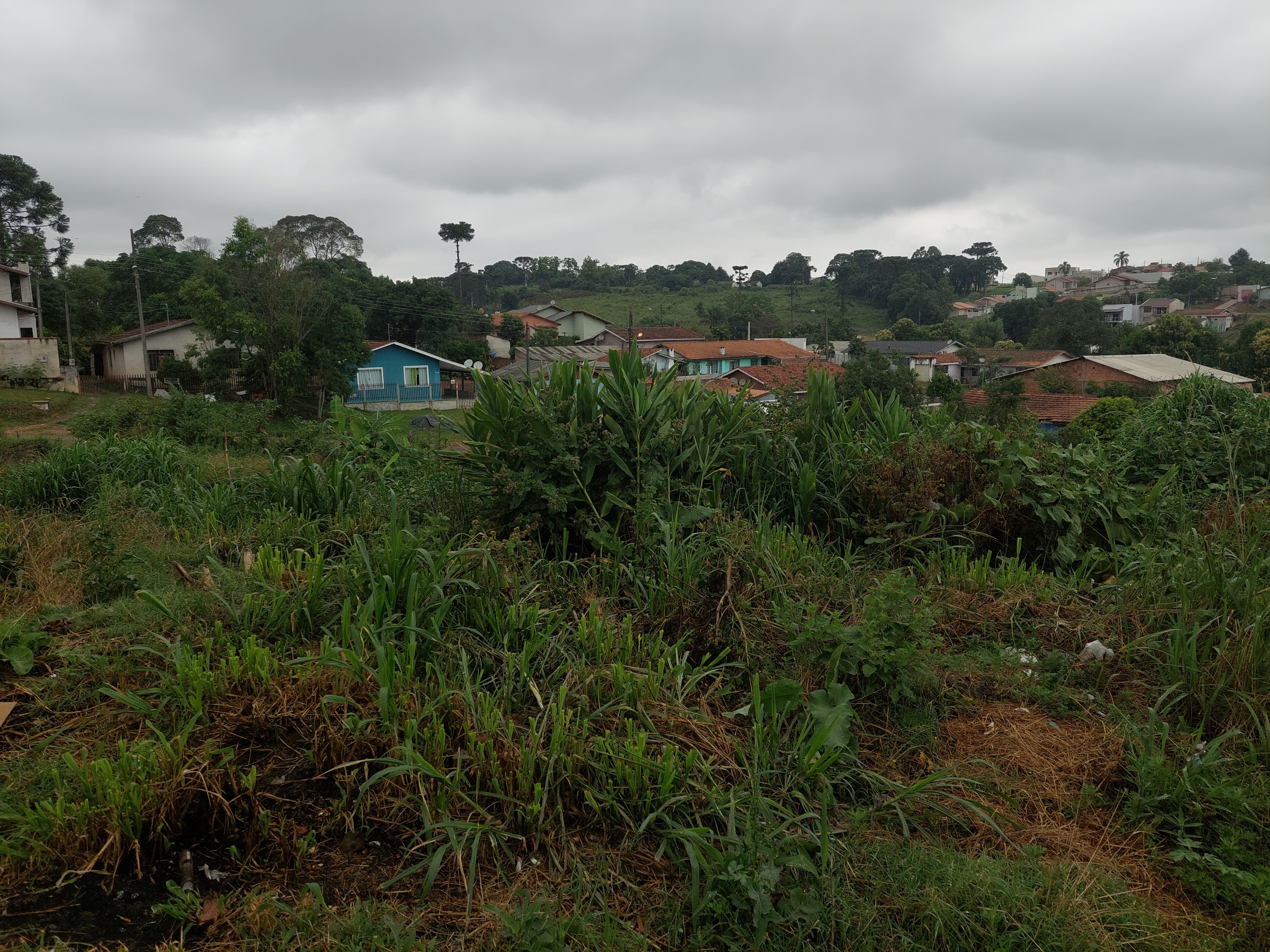 Imagem doLote Urbano com 465 m2 Bairro Industrial 1 - Rua AdÃ£o Tyska (15 x 31)