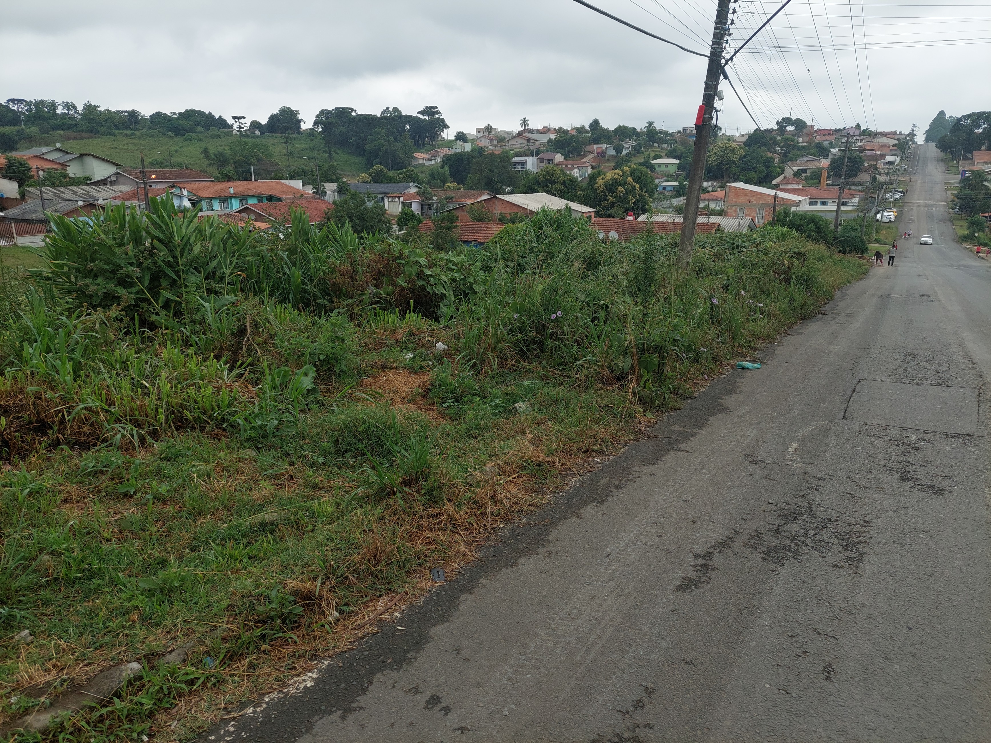 Imagem doLote Urbano com 465 m2 Bairro Industrial 1 - Rua AdÃ£o Tyska (15 x 31)