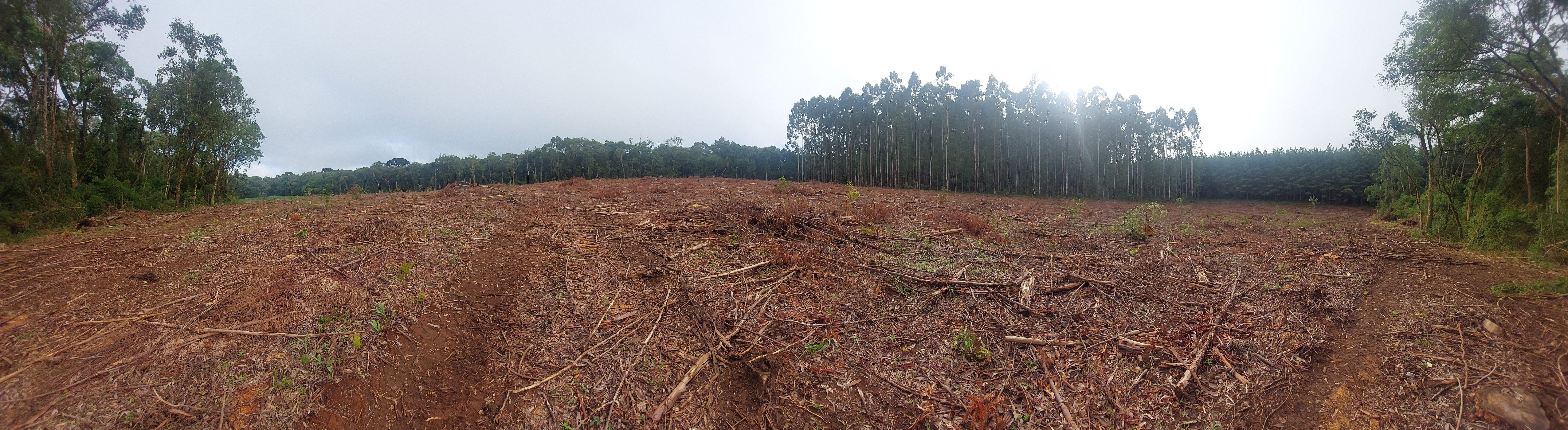 Imagem doTerreno Rural em Três Barras  a 3 km da SC 120.com 38.000 m2 - Reflorestar ou Plantar