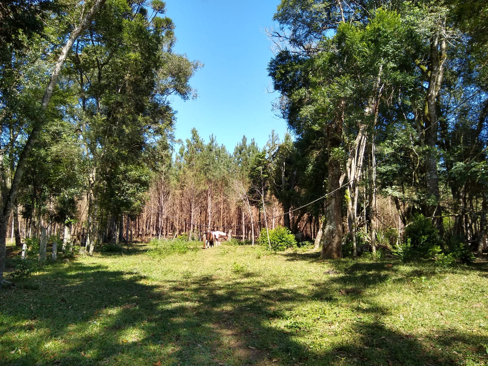 Imagem doLinda Chácara a 3 km do Centro da cidade - Com casa nova mista.