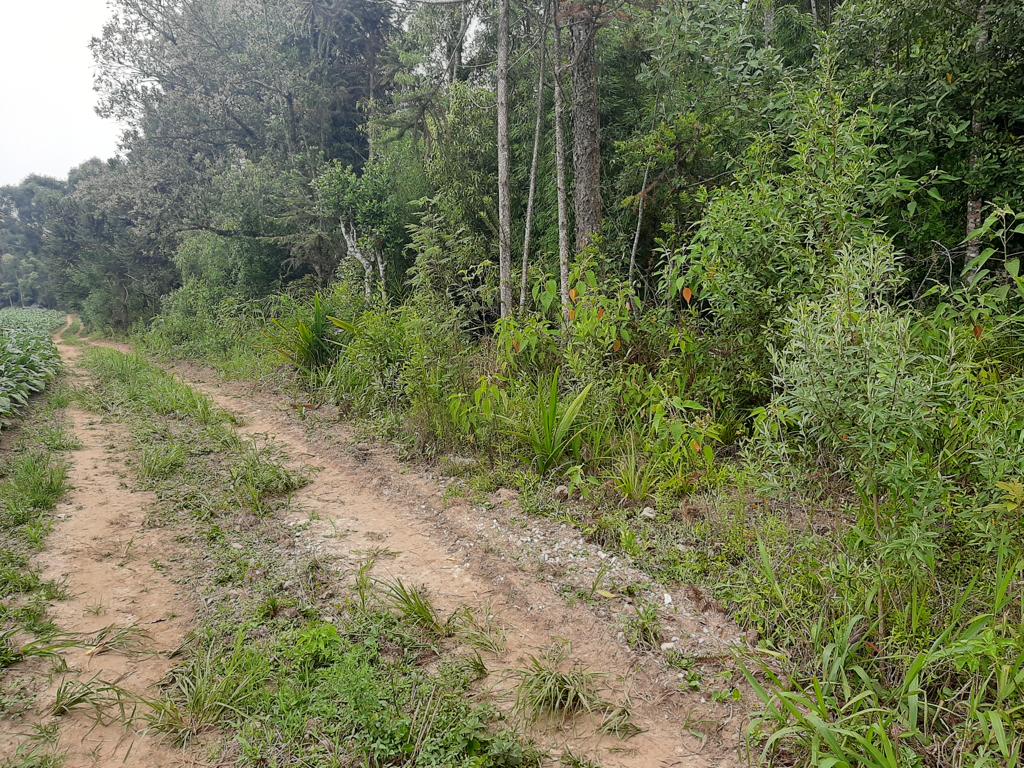 Imagem doTerreno Rural com 17 alqueires, sendo 5 limpos e 2 com possibilidade de abertura legalmente