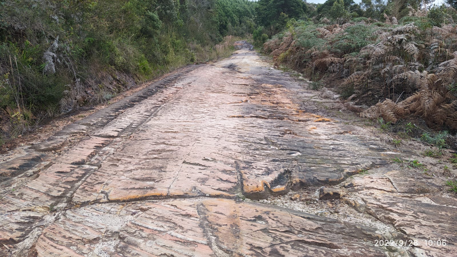 Imagem doTerreno Rural com 17 alqueires - Local denominado Pinheiros - Canoinhas