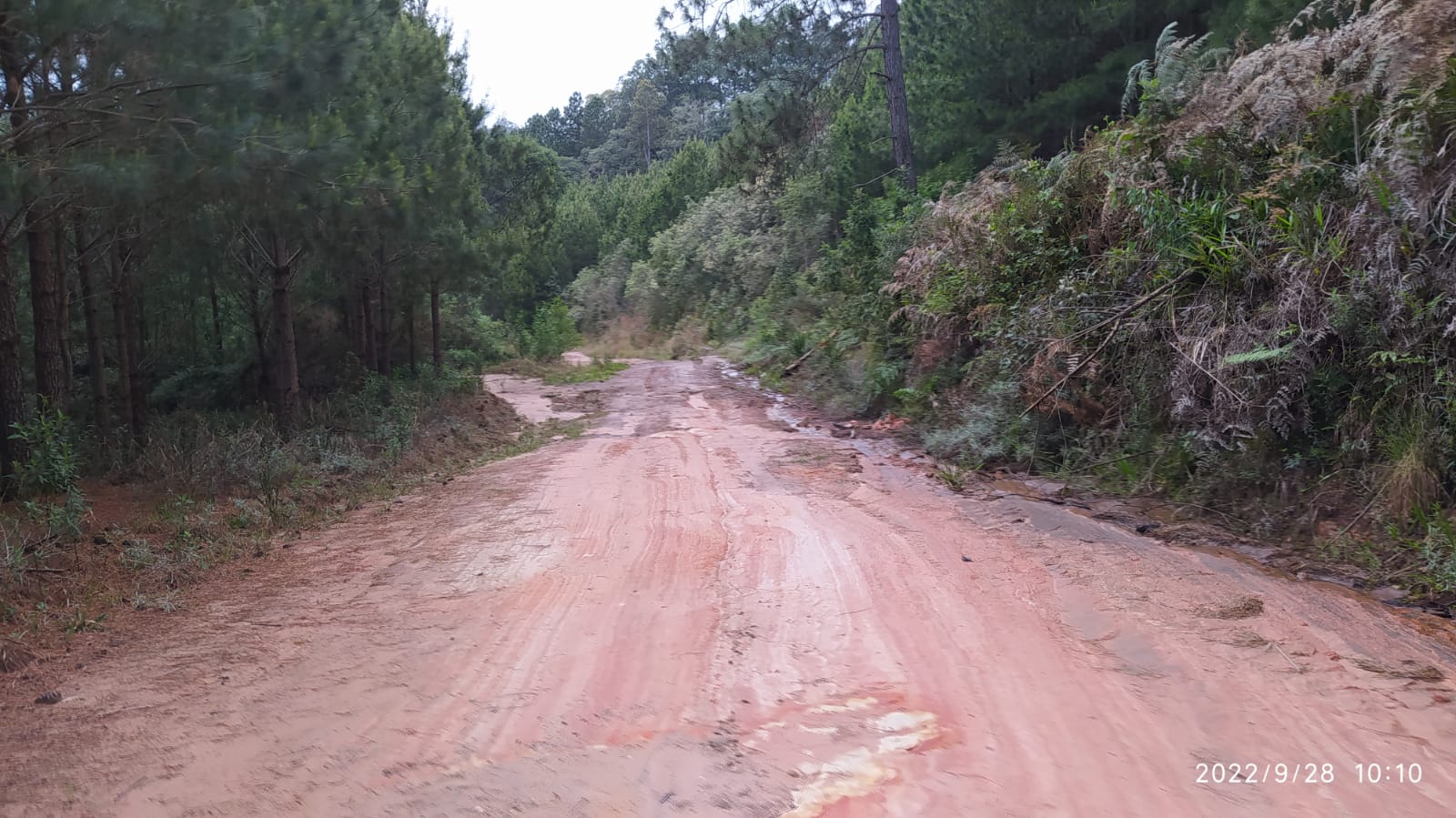 Imagem doTerreno Rural com 17 alqueires - Local denominado Pinheiros - Canoinhas