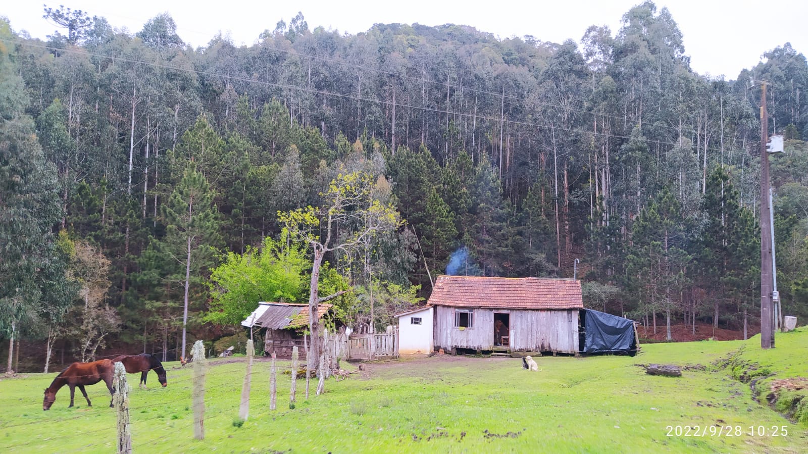 Imagem doTerreno Rural com 17 alqueires - Local denominado Pinheiros - Canoinhas