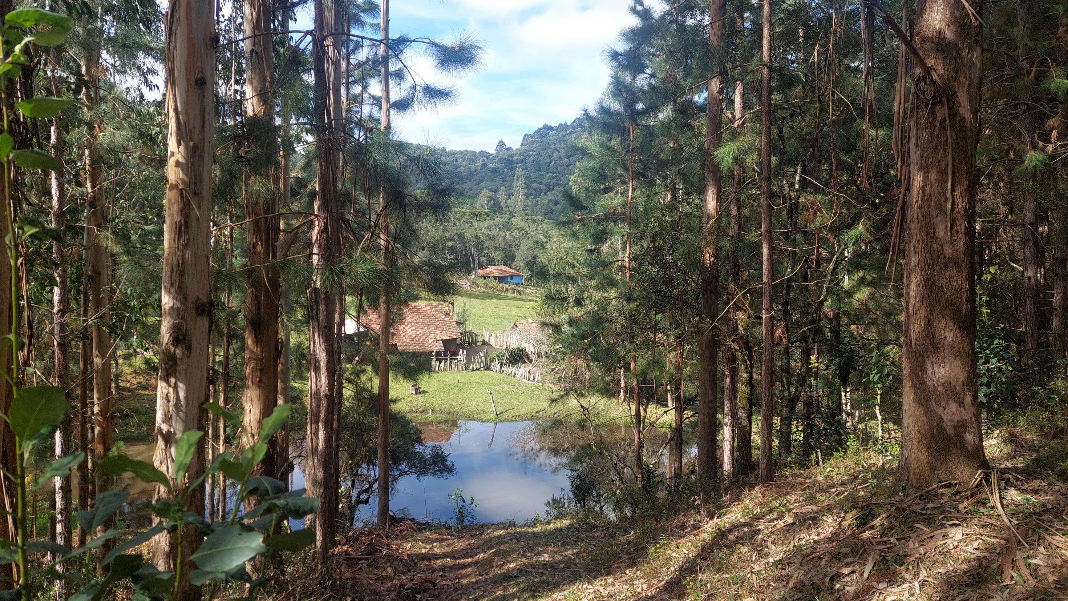 Imagem doTerreno Rural com 17 alqueires - Local denominado Pinheiros - Canoinhas