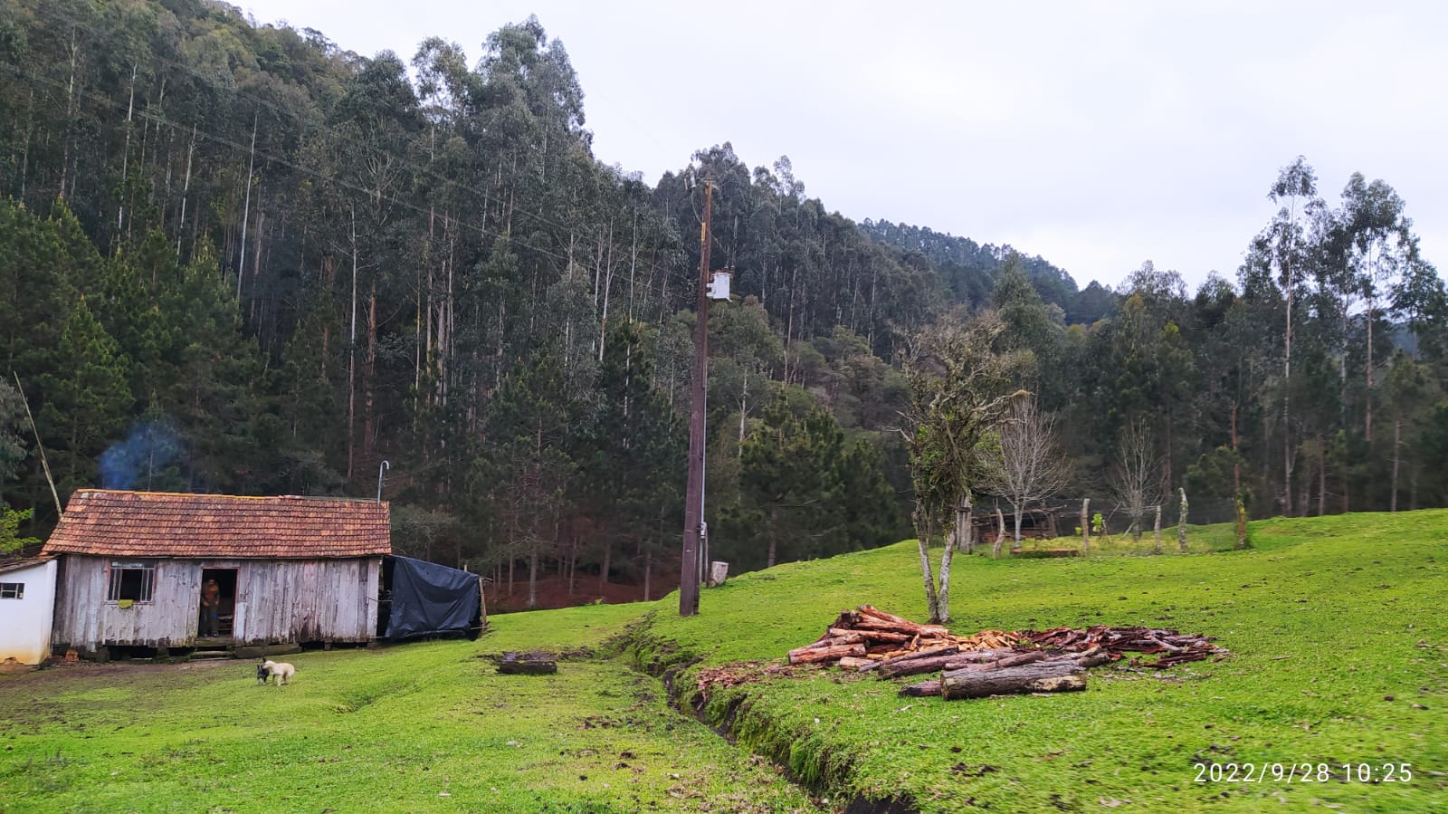 Imagem doTerreno Rural com 17 alqueires - Local denominado Pinheiros - Canoinhas