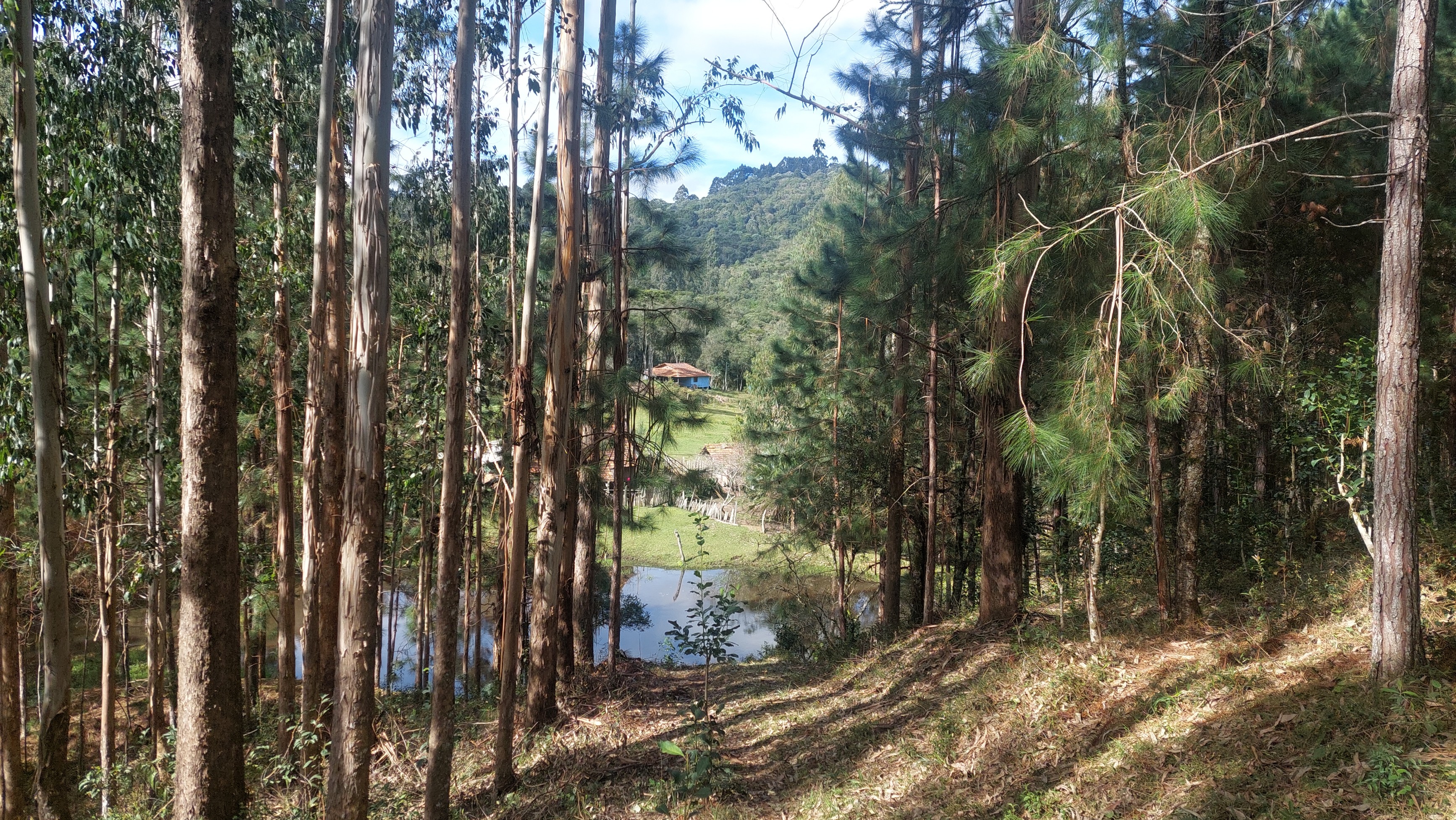 Imagem doTerreno Rural com 17 alqueires - Local denominado Pinheiros - Canoinhas