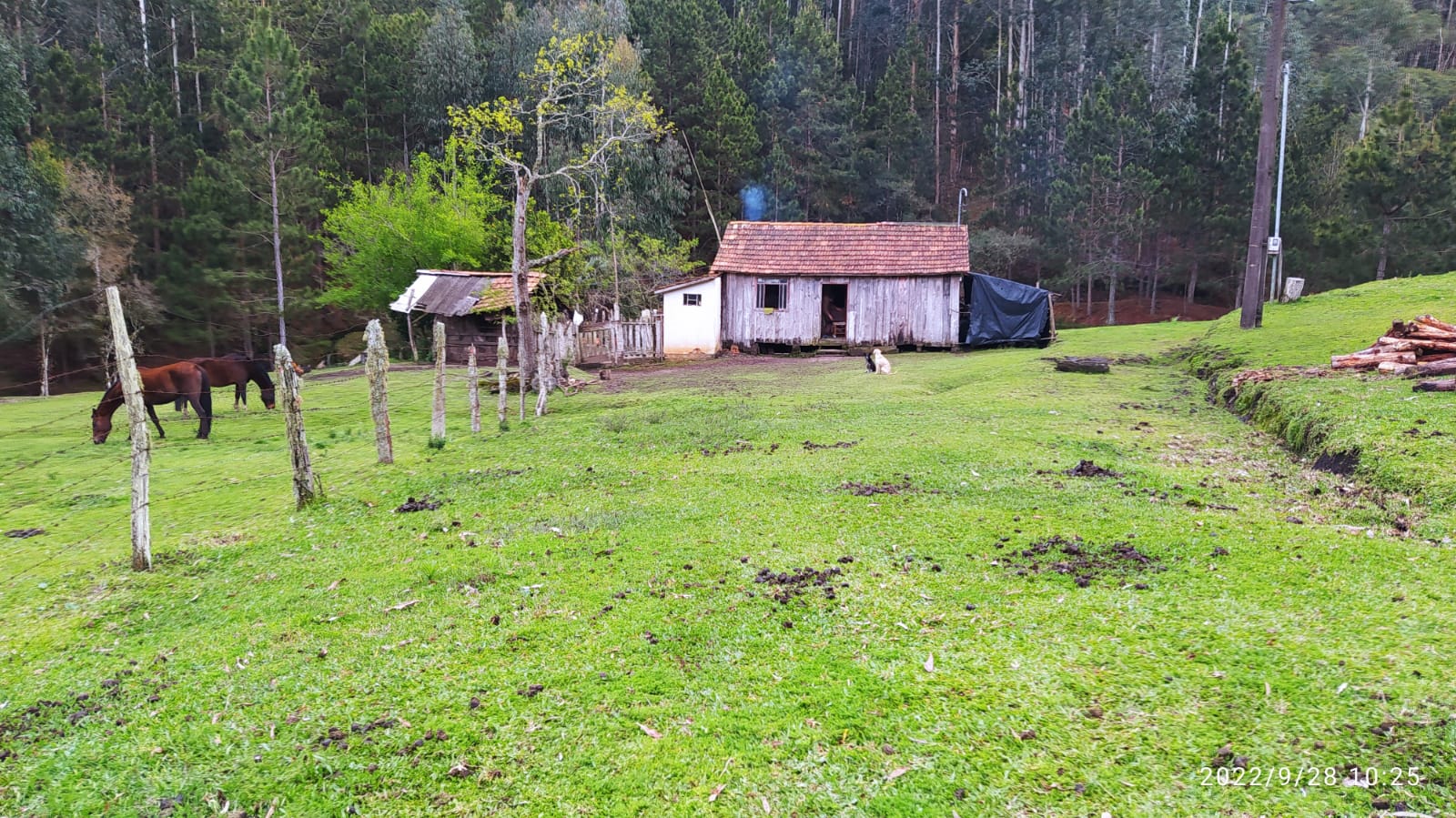 Imagem doTerreno Rural com 17 alqueires - Local denominado Pinheiros - Canoinhas