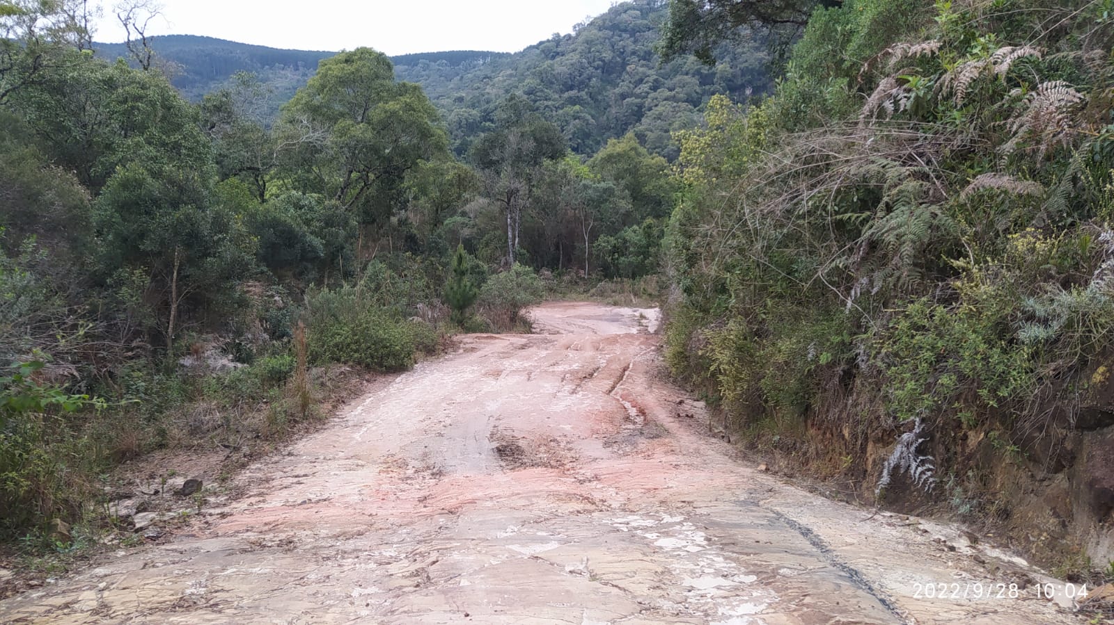 Imagem doTerreno Rural com 17 alqueires - Local denominado Pinheiros - Canoinhas