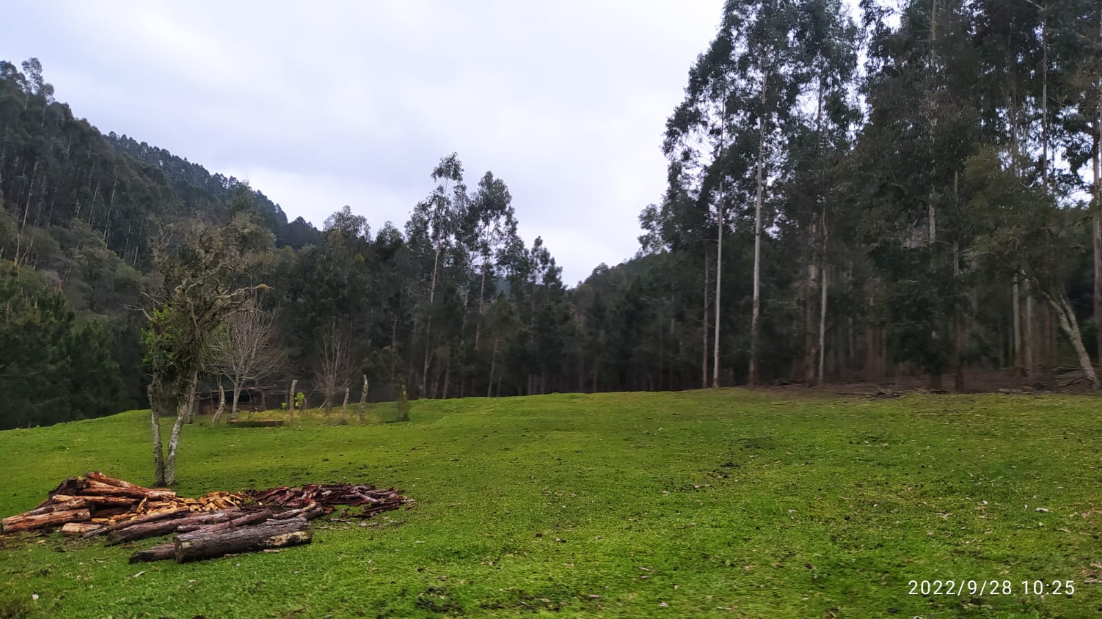 Imagem doTerreno Rural com 17 alqueires - Local denominado Pinheiros - Canoinhas