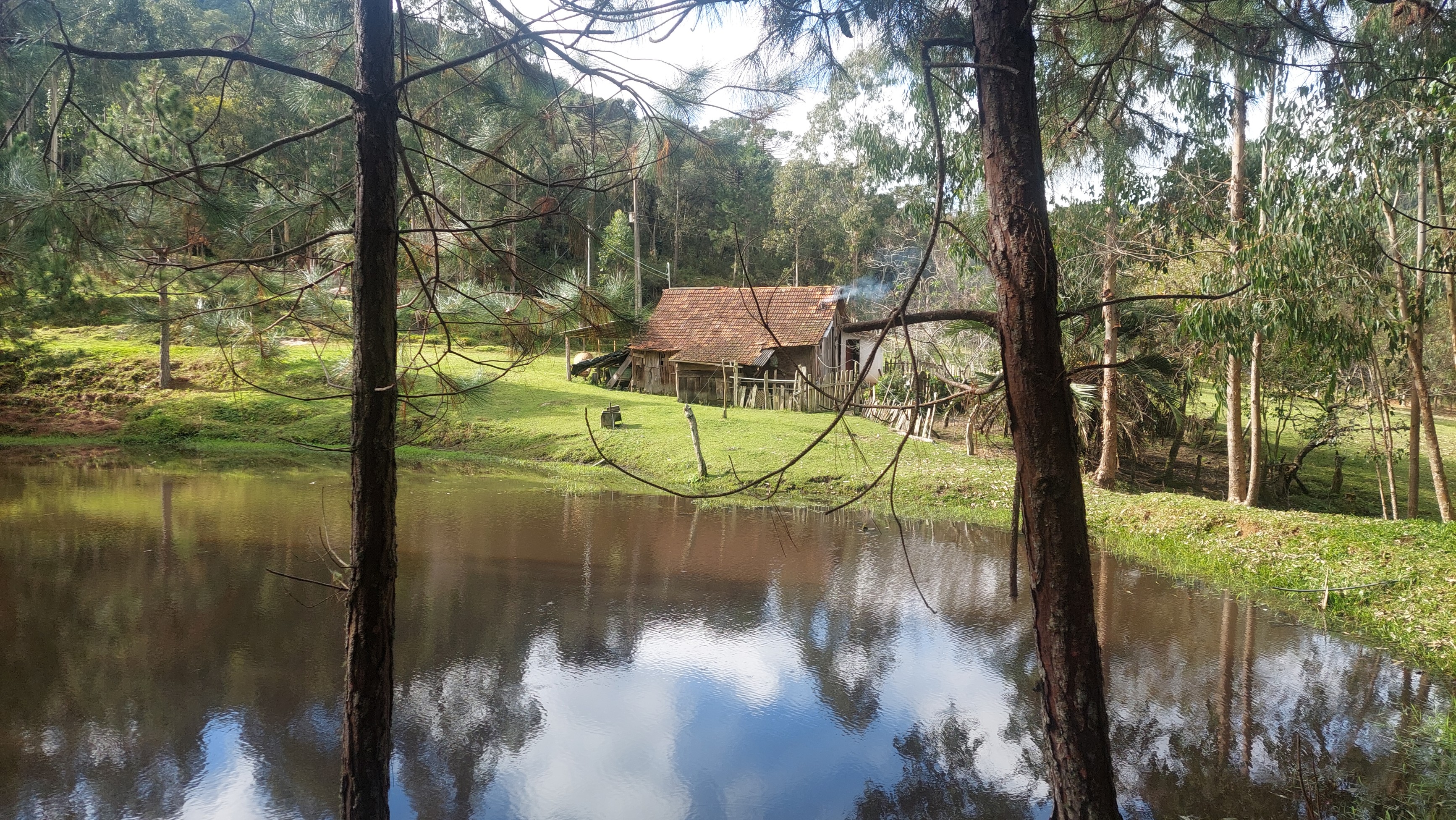 Imagem doTerreno Rural com 17 alqueires - Local denominado Pinheiros - Canoinhas