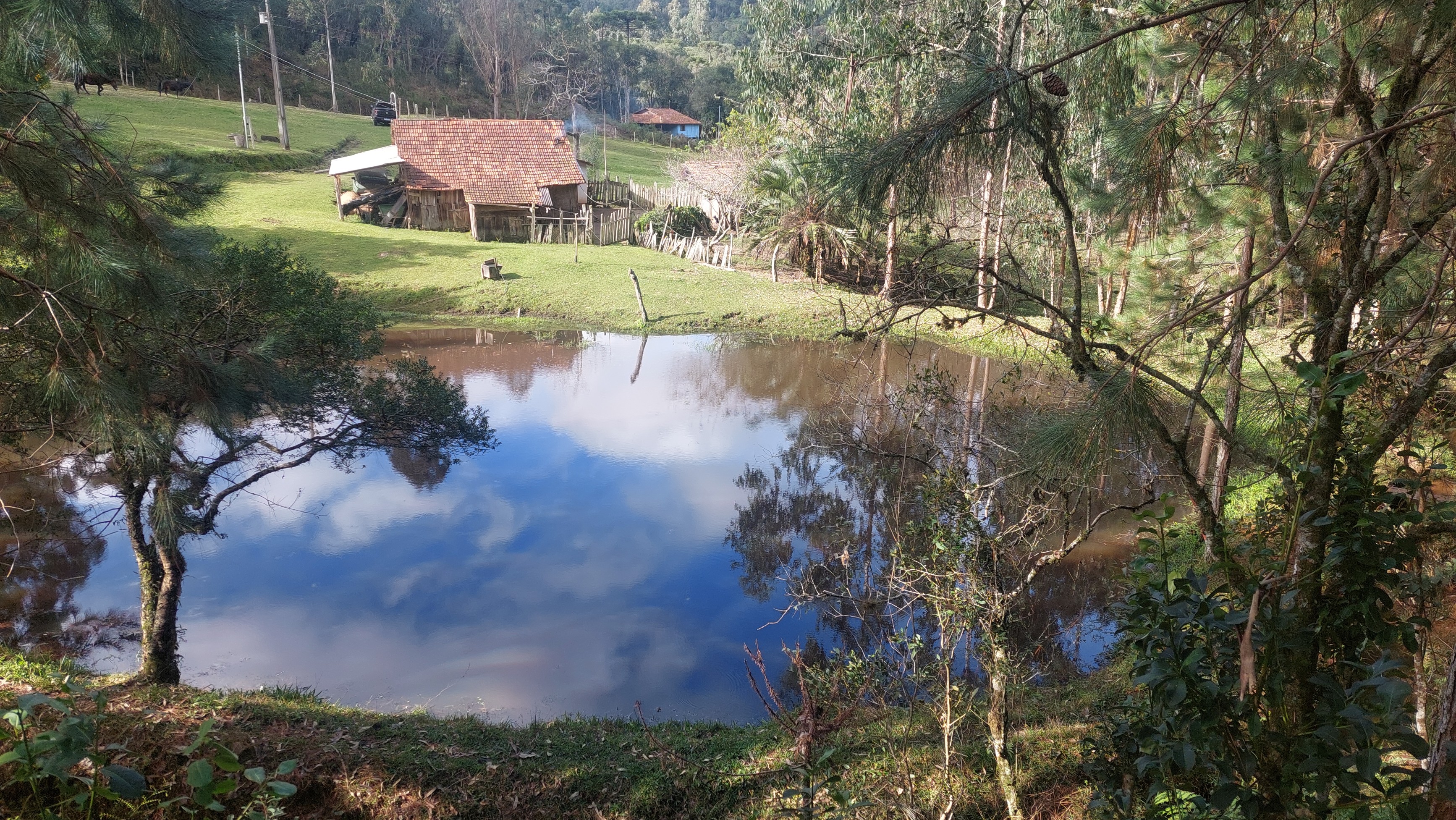 Imagem doTerreno Rural com 17 alqueires - Local denominado Pinheiros - Canoinhas