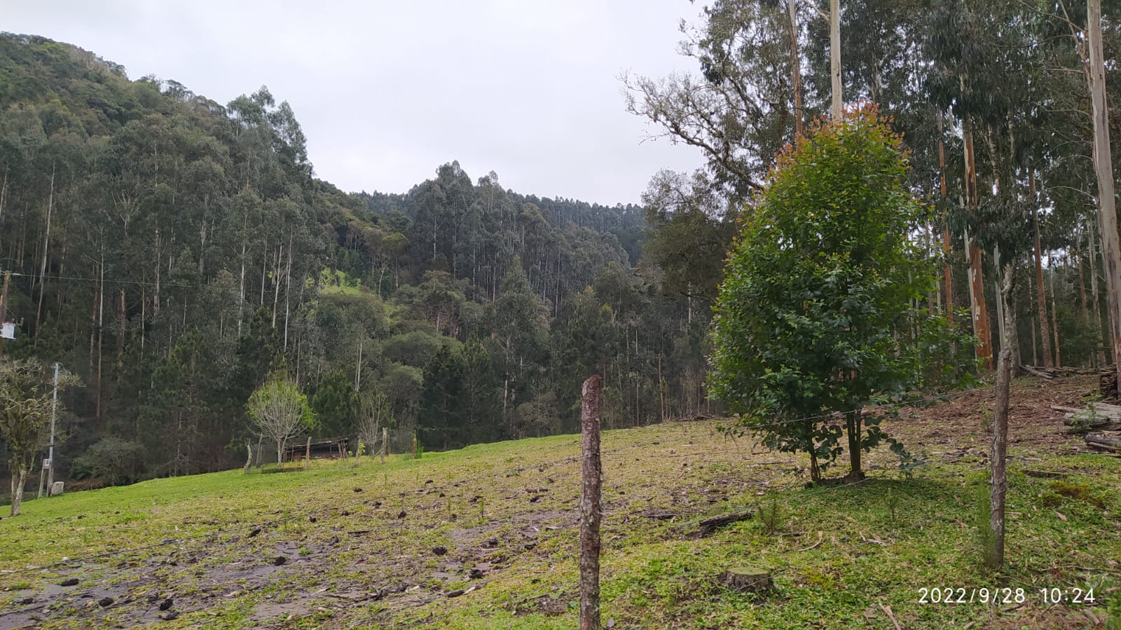 Imagem doTerreno Rural com 17 alqueires - Local denominado Pinheiros - Canoinhas