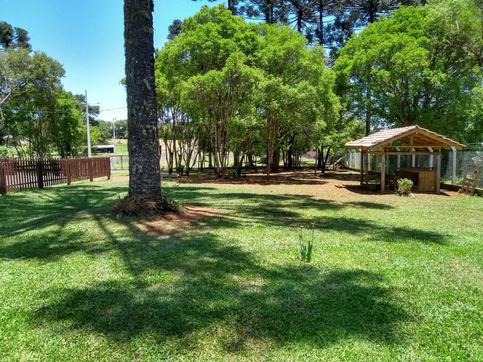 Imagem do LINDA CHÁCARA EM TRES BARRAS COM ÁREA DE 35.600 M2