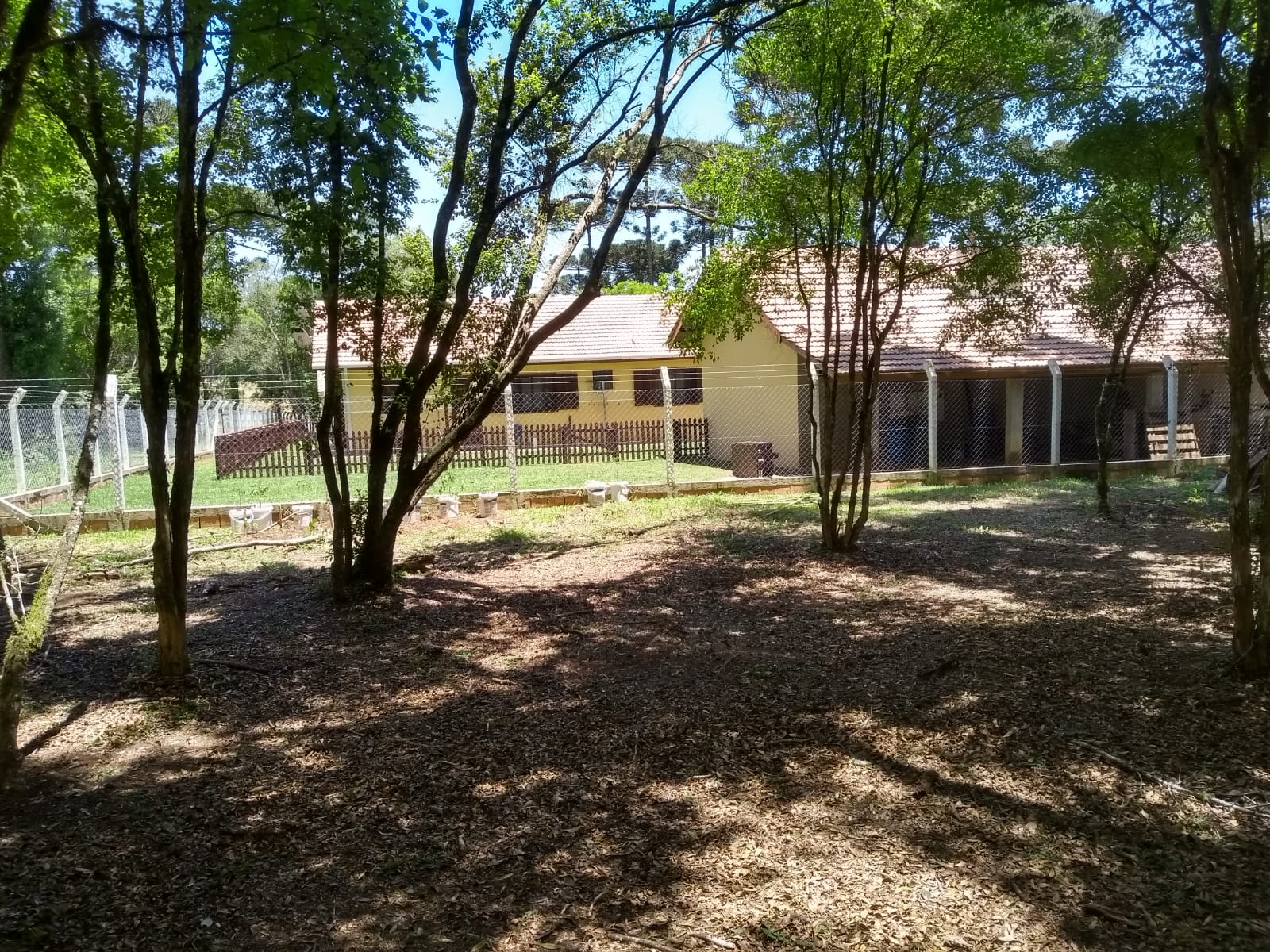 Imagem do LINDA CHÁCARA EM TRES BARRAS COM ÁREA DE 35.600 M2
