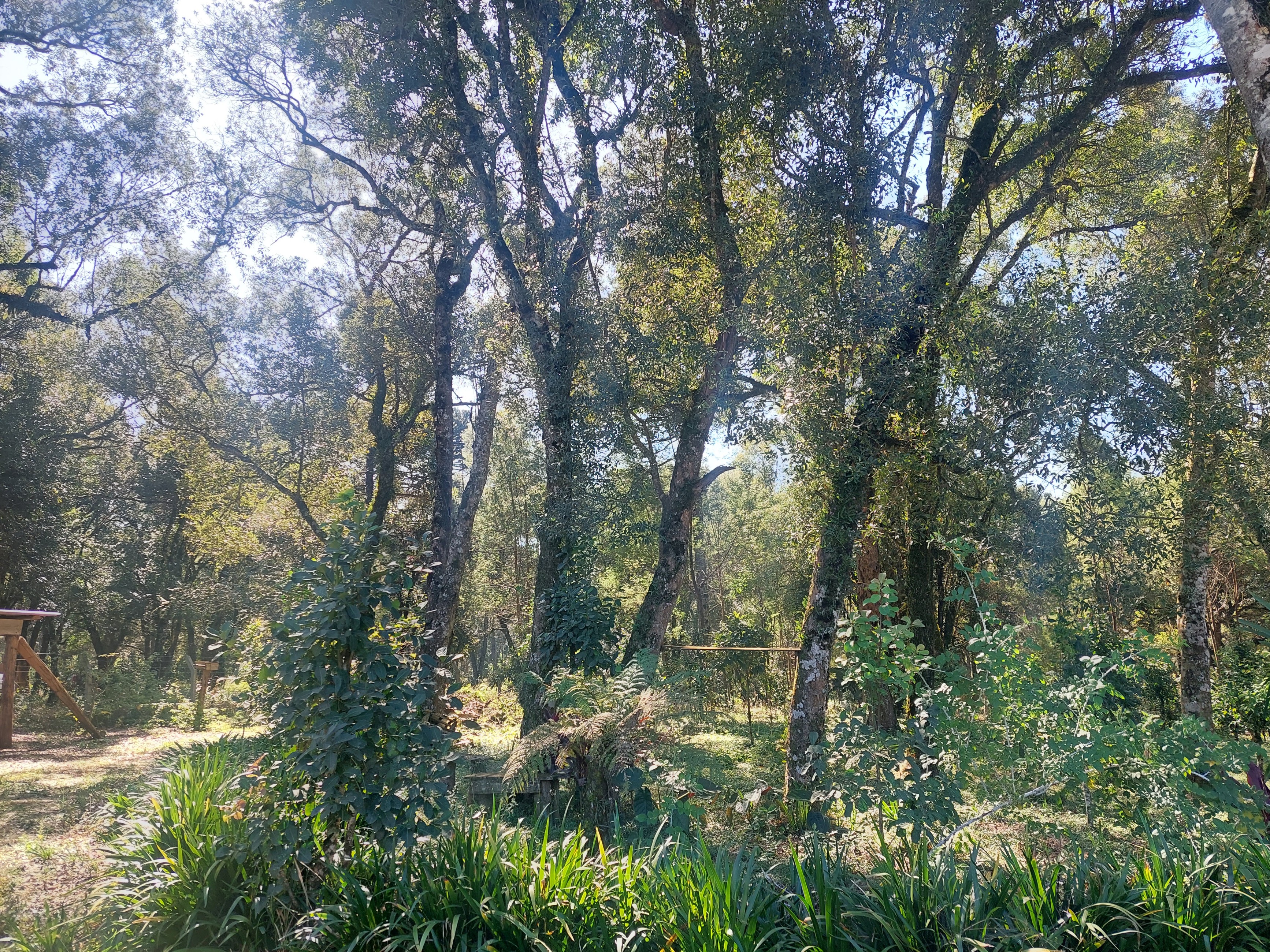 Imagem doTERRENO RURAL COM 31.763,89 M2 - FRENTE PARA ASFALTO PROXIMO TREVO DA MILLI