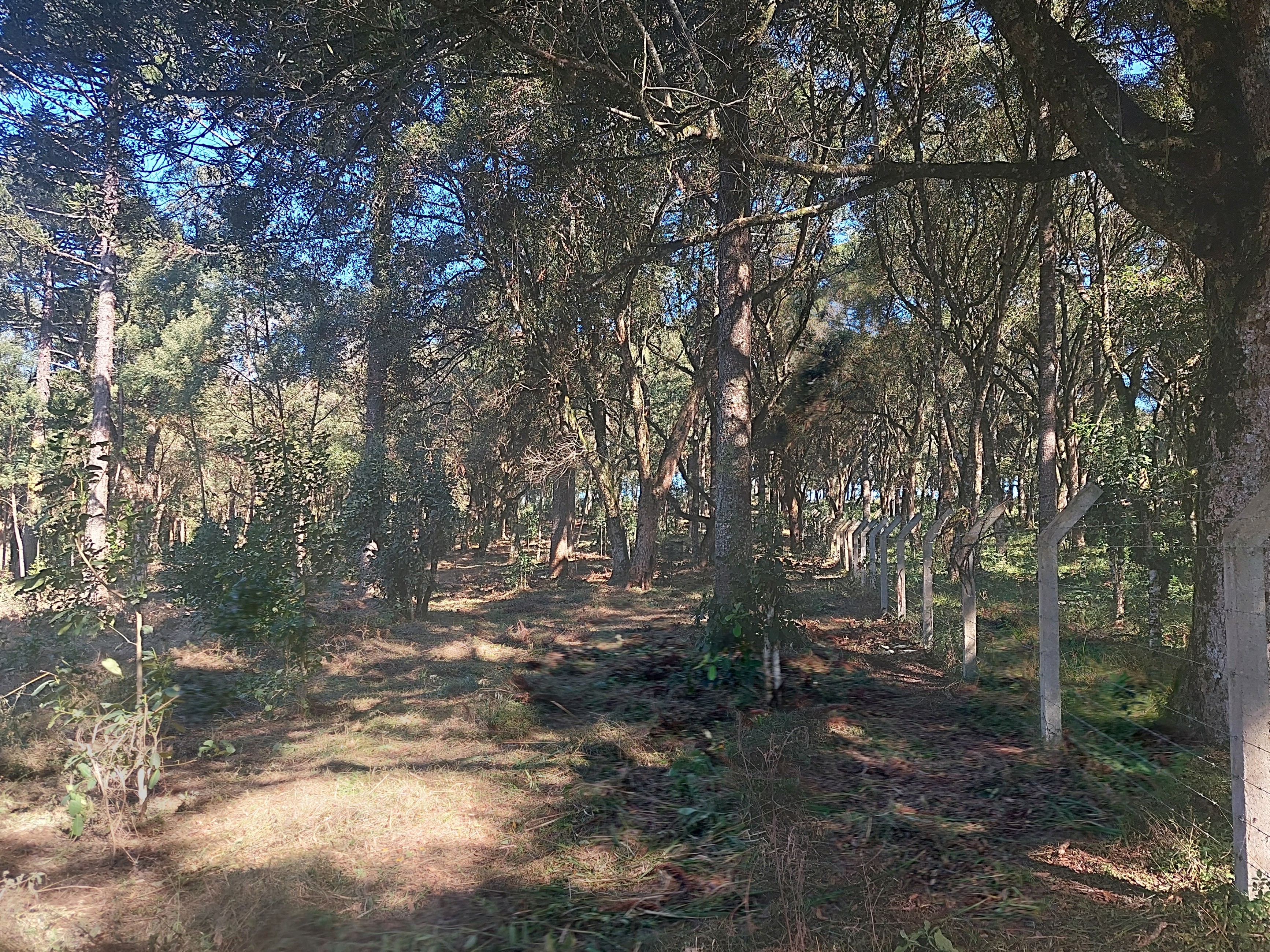 Imagem doTERRENO RURAL COM 31.763,89 M2 - FRENTE PARA ASFALTO PROXIMO TREVO DA MILLI