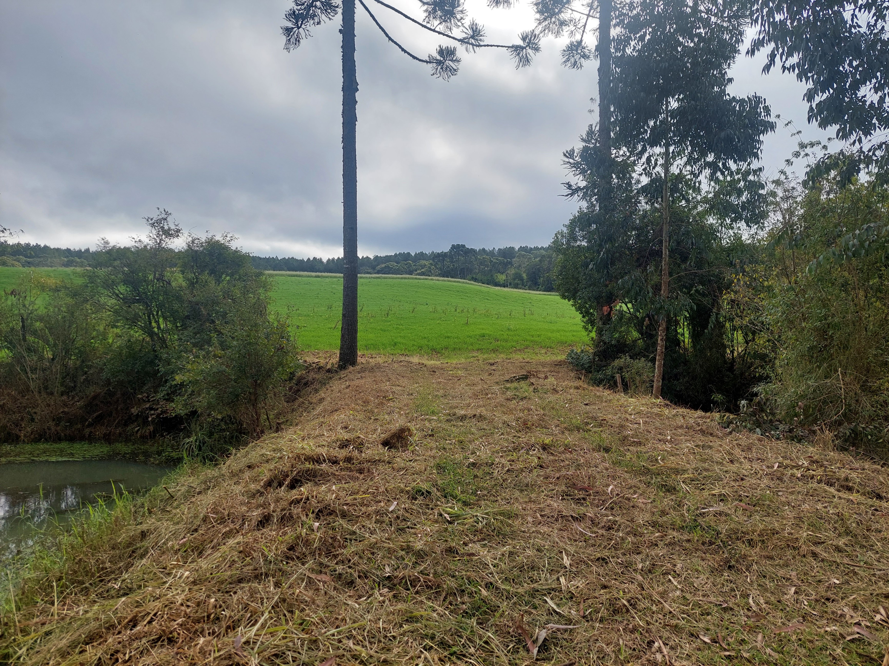 Imagem doSitio na Localidade de Forquilha - com 13.000 m2 e sobradinho misto com 70 m2- Canoinhas