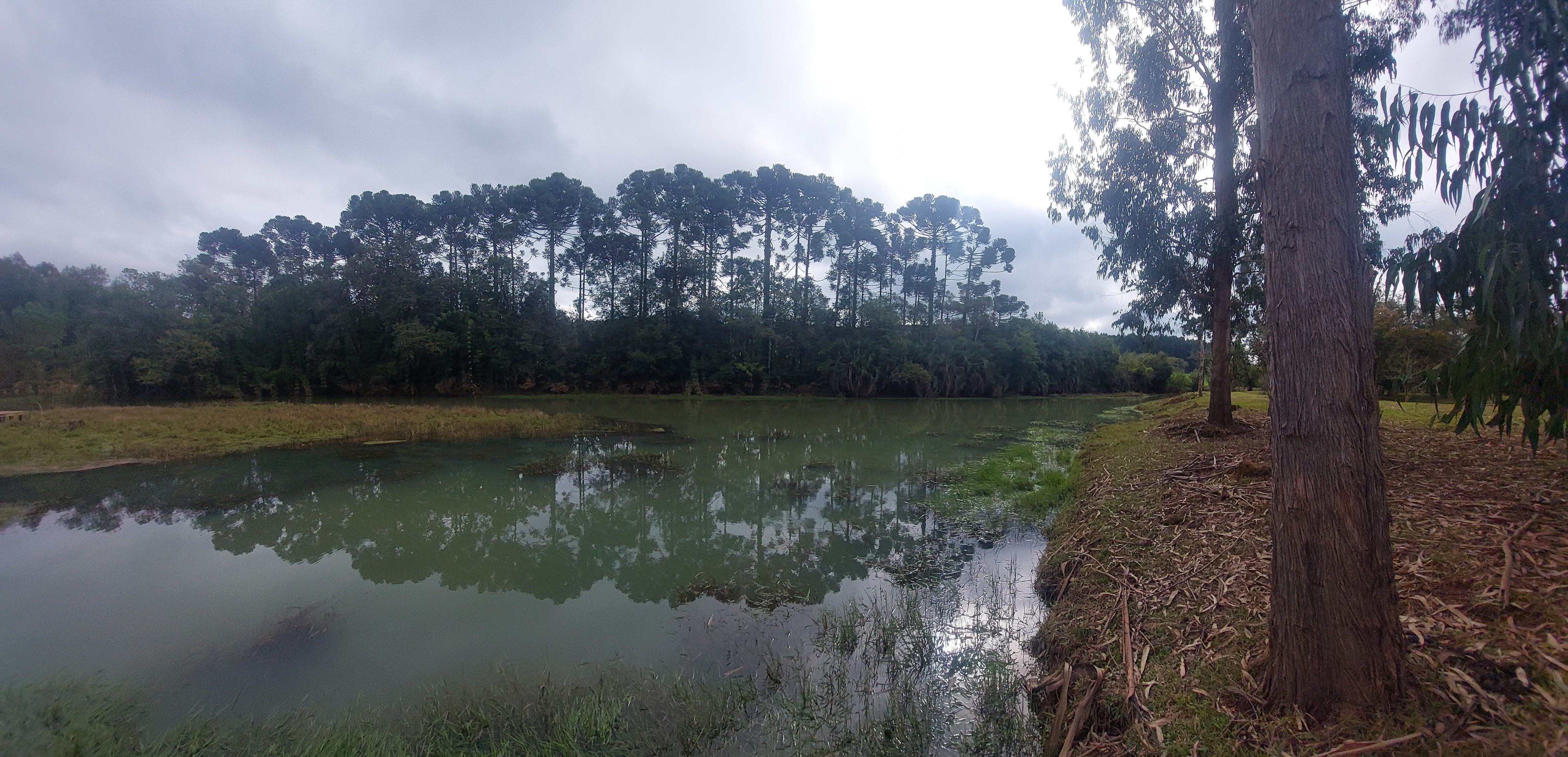 Imagem doSitio na Localidade de Forquilha - com 13.000 m2 e sobradinho misto com 70 m2- Canoinhas