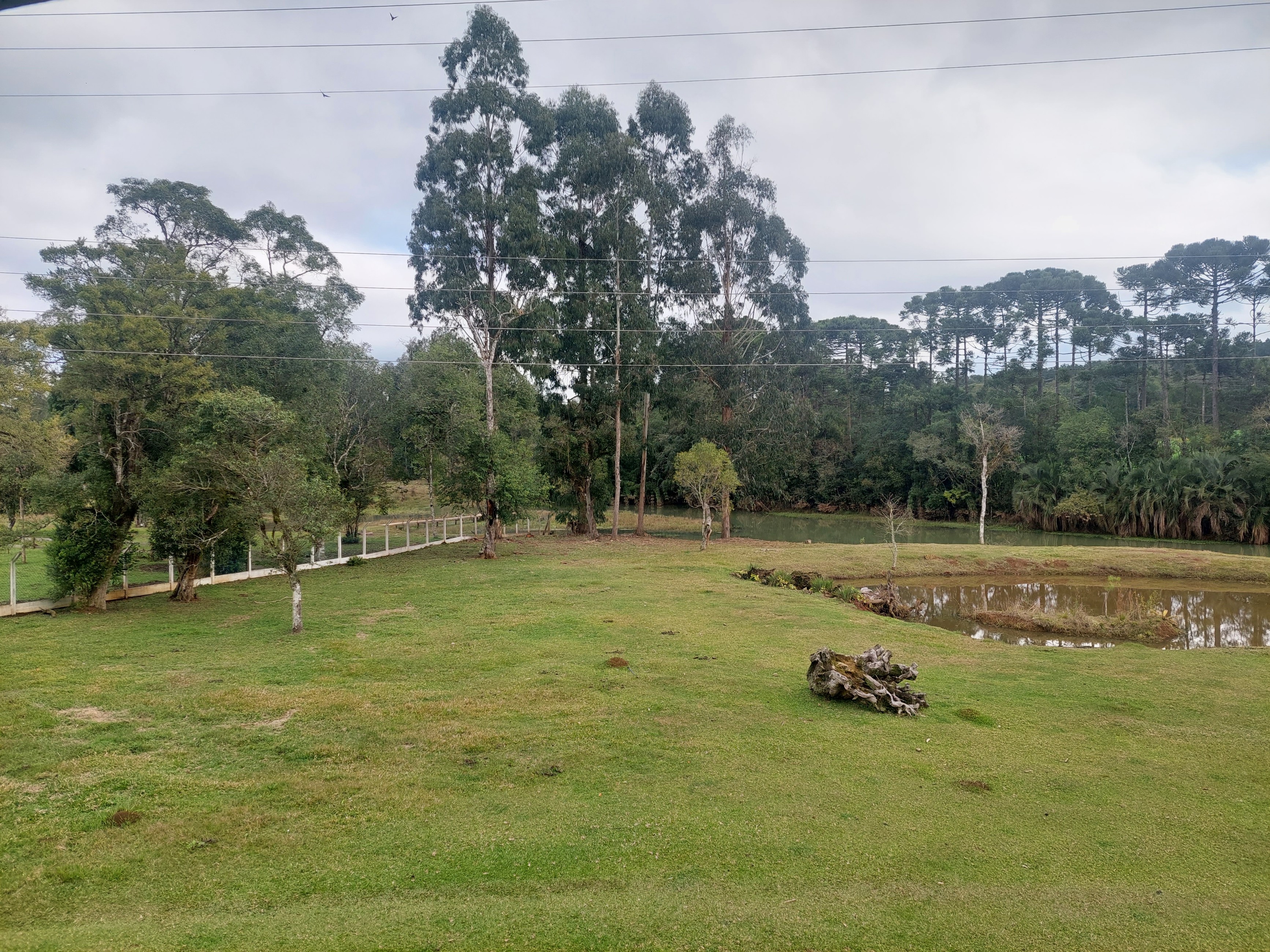 Imagem doSitio na Localidade de Forquilha - com 13.000 m2 e sobradinho misto com 70 m2- Canoinhas