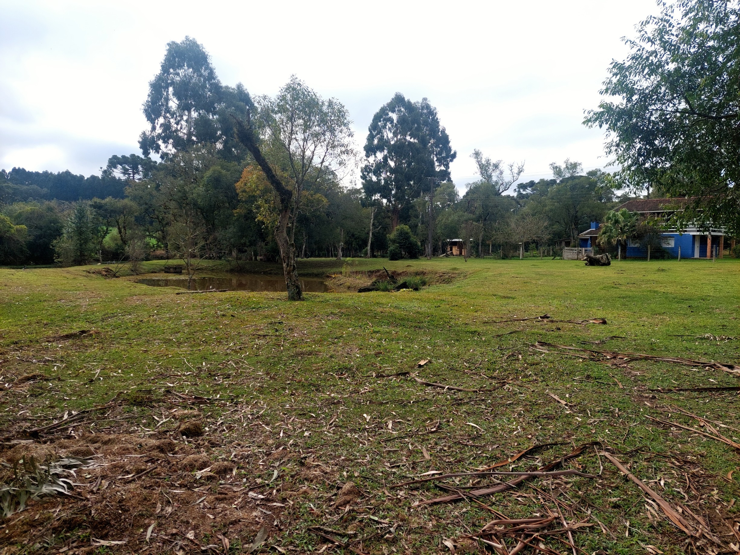 Imagem doSitio na Localidade de Forquilha - com 13.000 m2 e sobradinho misto com 70 m2- Canoinhas