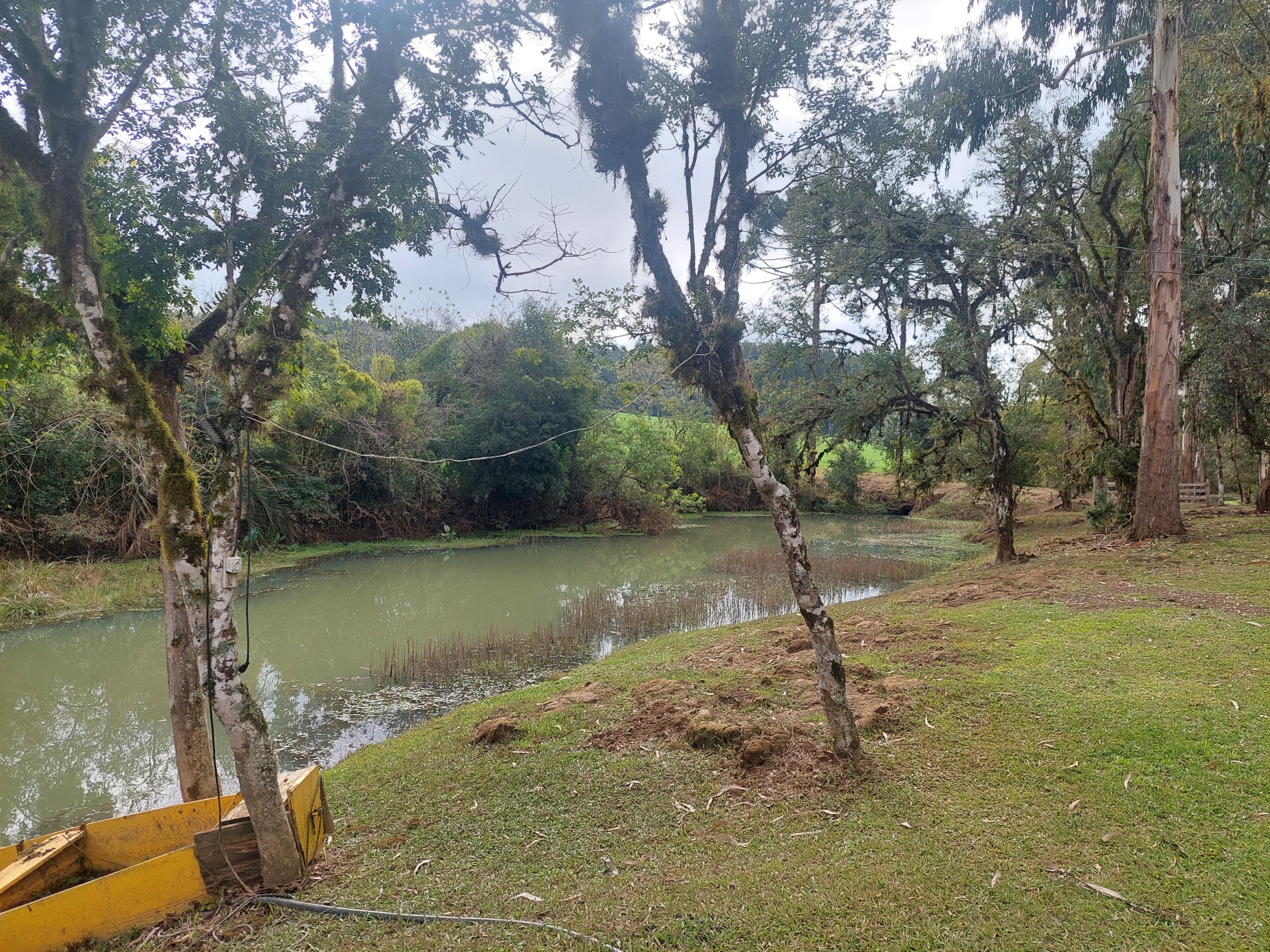 Imagem doSitio na Localidade de Forquilha - com 13.000 m2 e sobradinho misto com 70 m2- Canoinhas