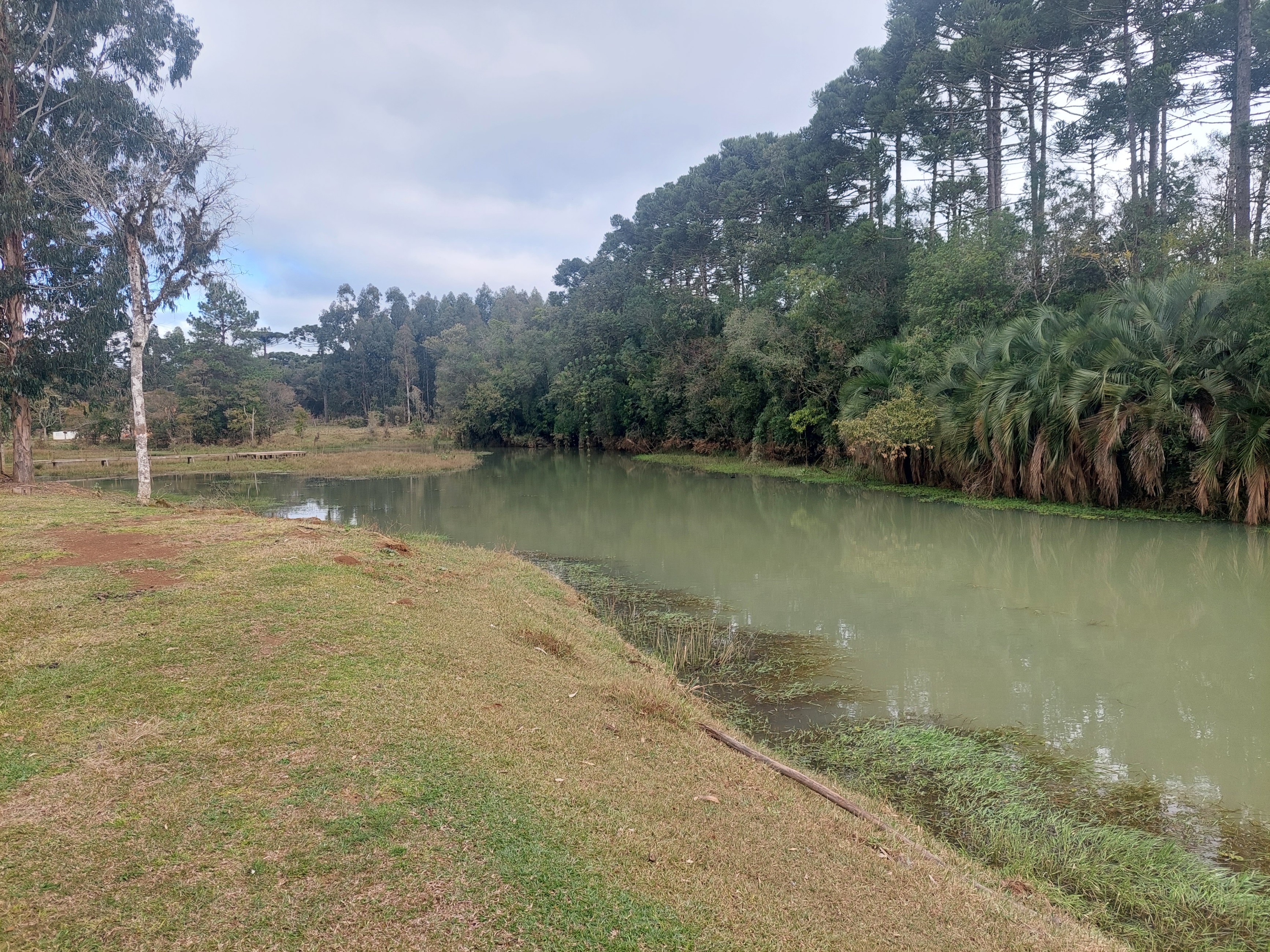 Imagem doSitio na Localidade de Forquilha - com 13.000 m2 e sobradinho misto com 70 m2- Canoinhas