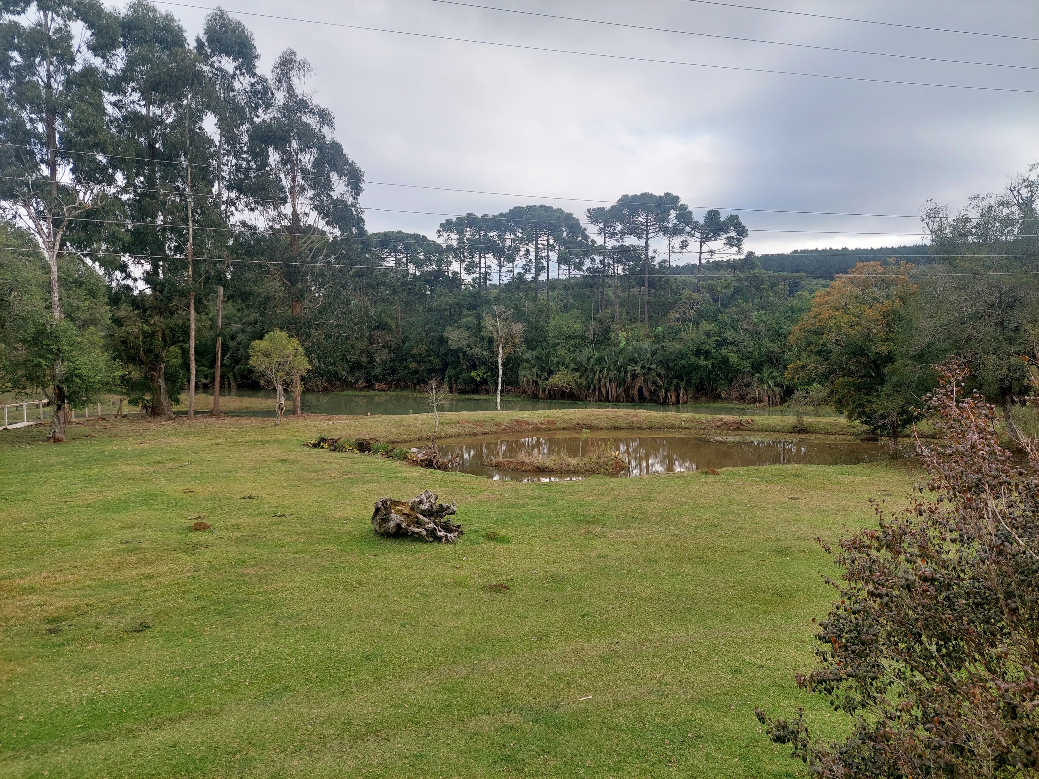 Imagem doSitio na Localidade de Forquilha - com 13.000 m2 e sobradinho misto com 70 m2- Canoinhas