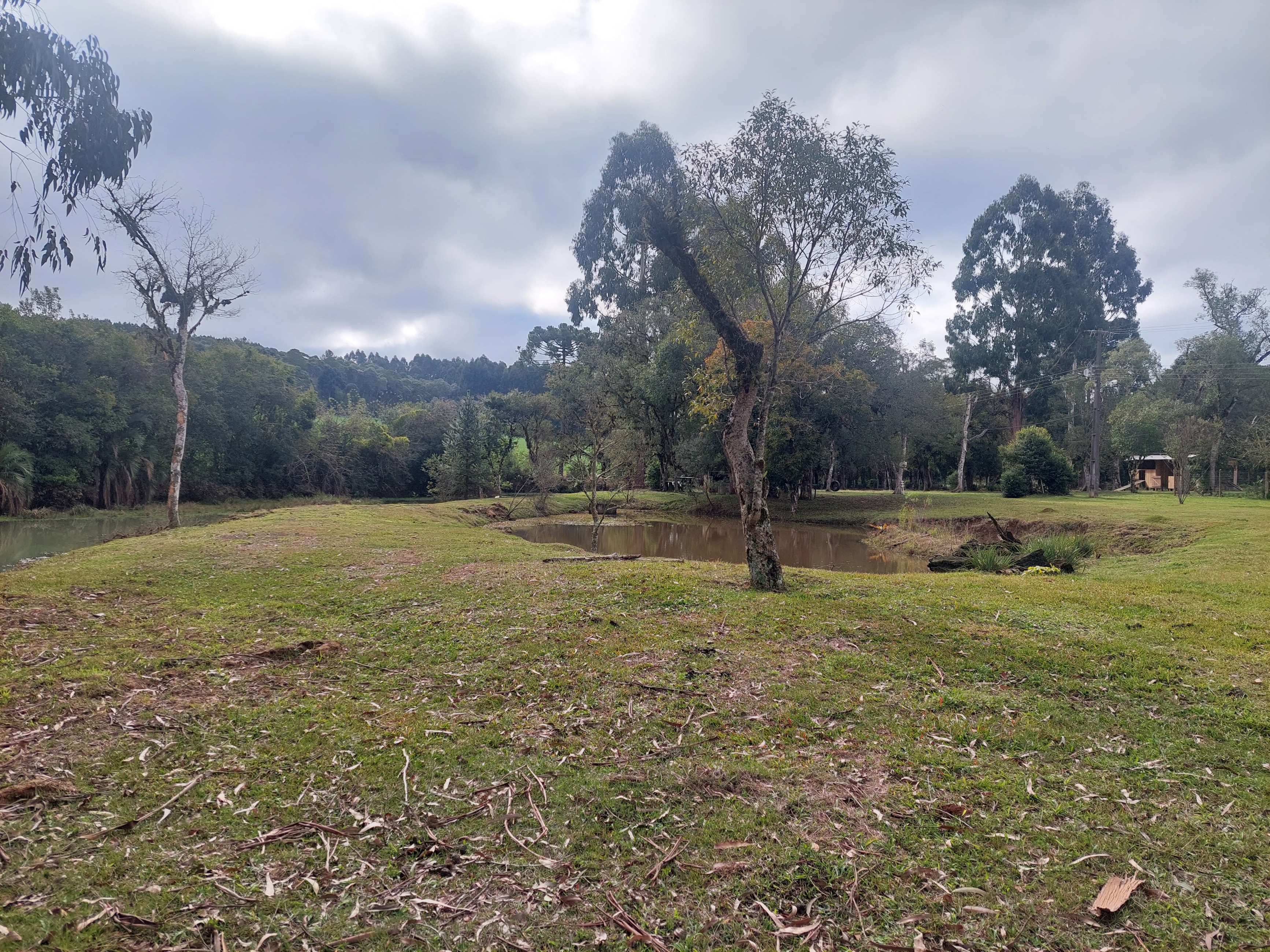 Imagem doSitio na Localidade de Forquilha - com 13.000 m2 e sobradinho misto com 70 m2- Canoinhas