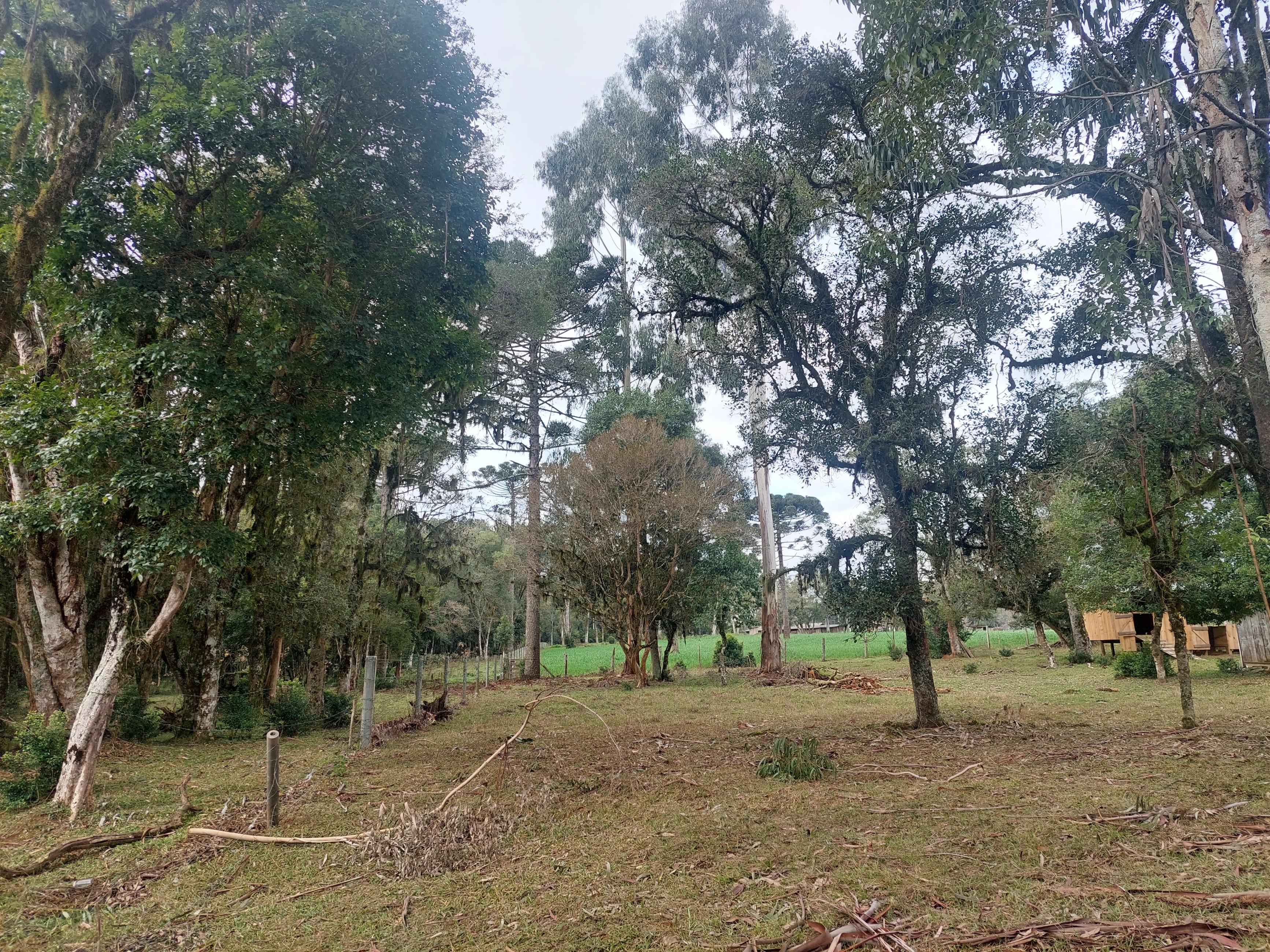 Imagem doSitio na Localidade de Forquilha - com 13.000 m2 e sobradinho misto com 70 m2- Canoinhas