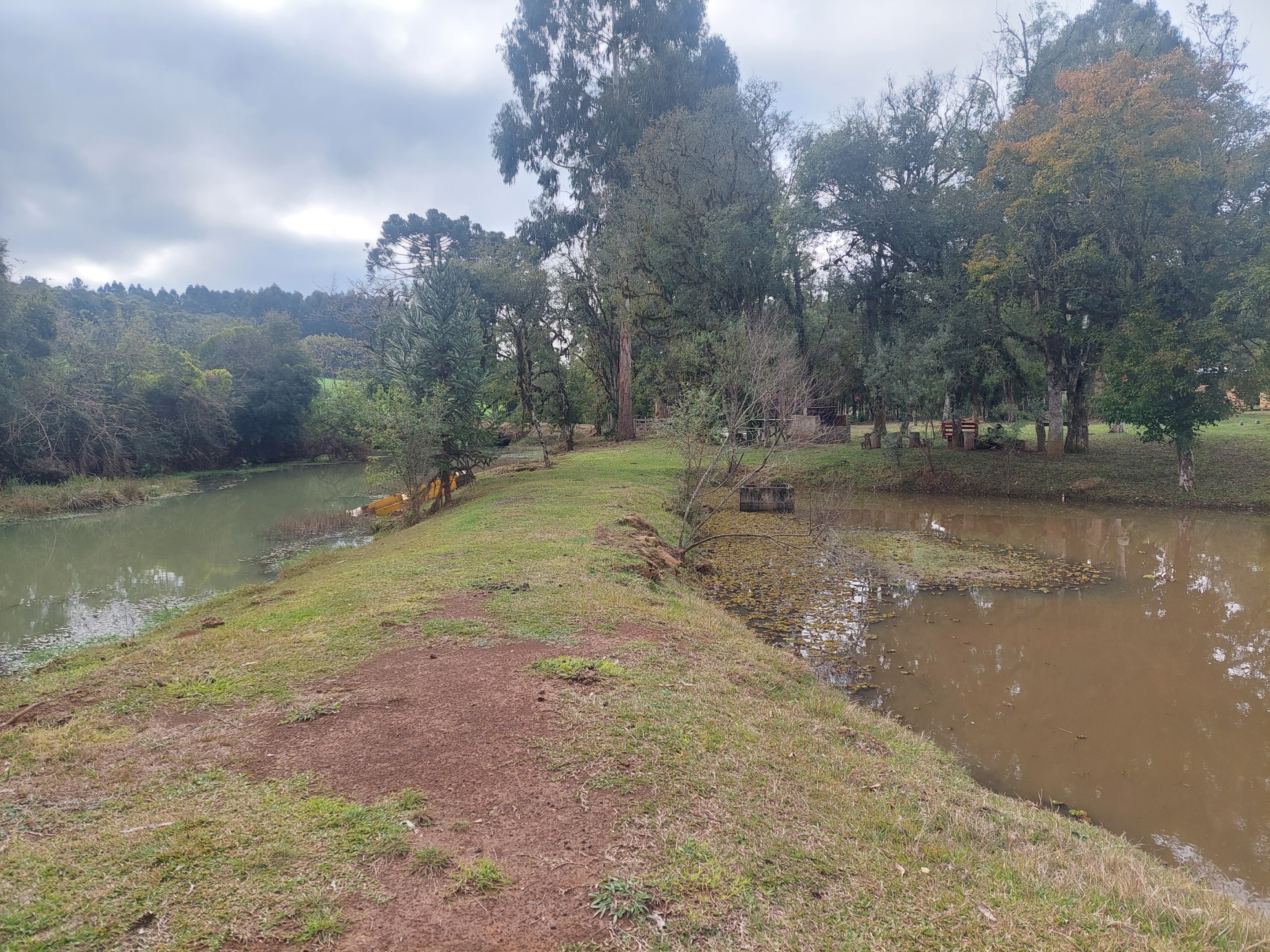 Imagem doSitio na Localidade de Forquilha - com 13.000 m2 e sobradinho misto com 70 m2- Canoinhas