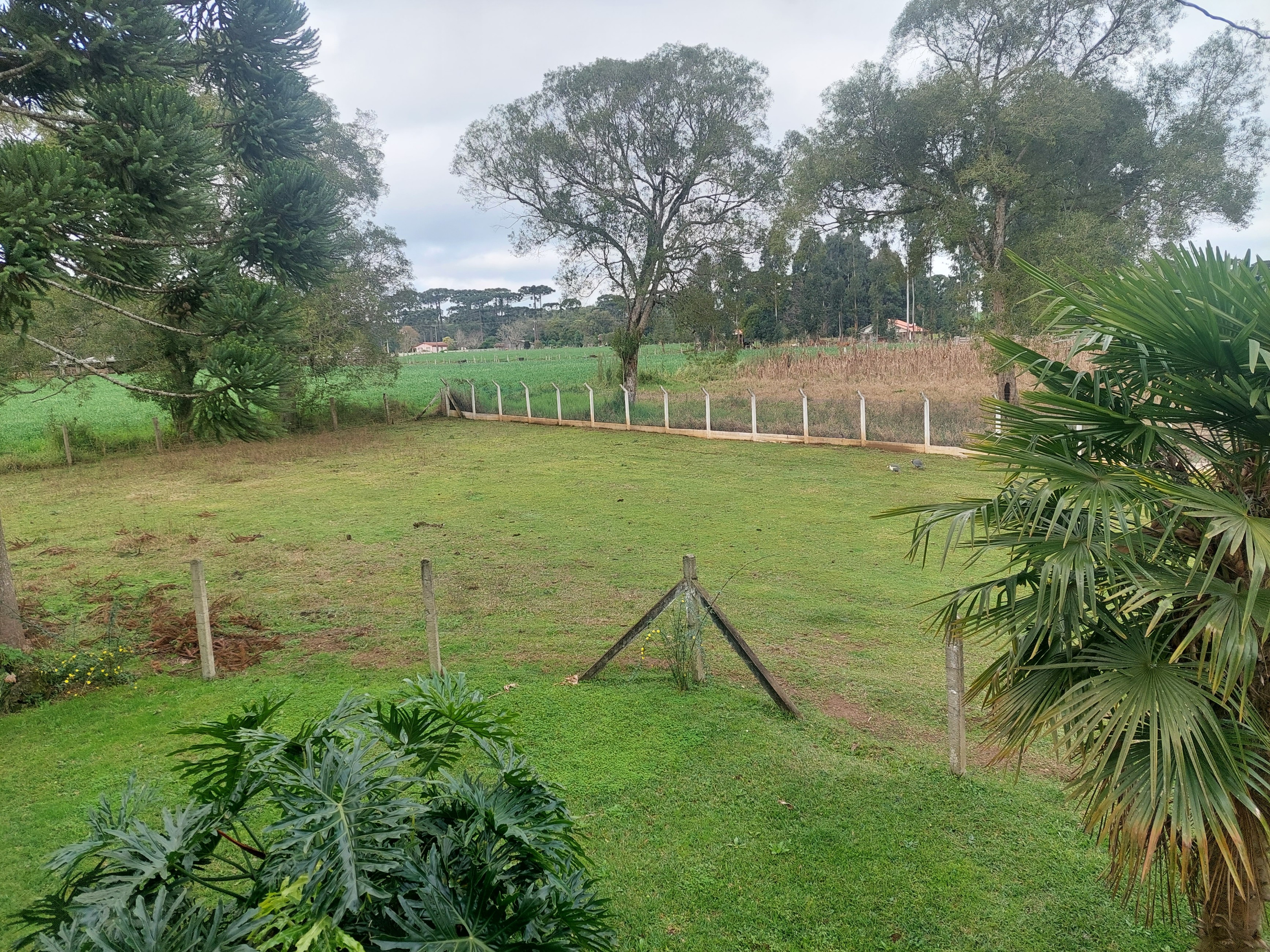 Imagem doSitio na Localidade de Forquilha - com 13.000 m2 e sobradinho misto com 70 m2- Canoinhas