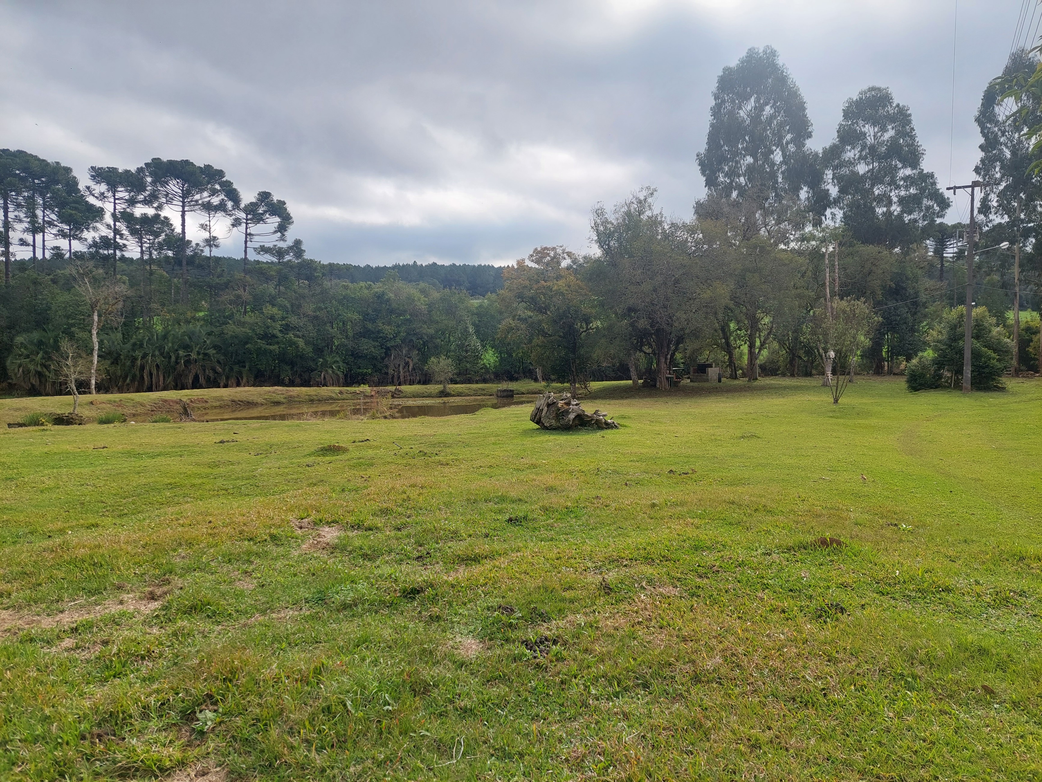 Imagem doSitio na Localidade de Forquilha - com 13.000 m2 e sobradinho misto com 70 m2- Canoinhas