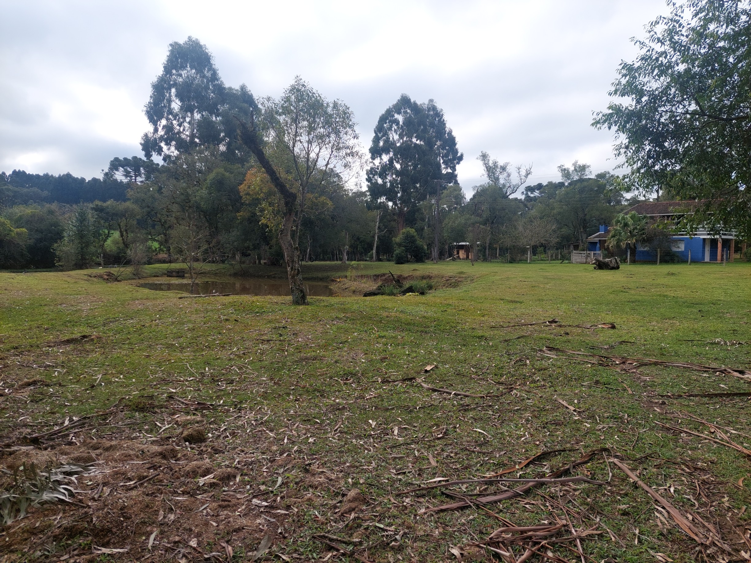 Imagem doSitio na Localidade de Forquilha - com 13.000 m2 e sobradinho misto com 70 m2- Canoinhas