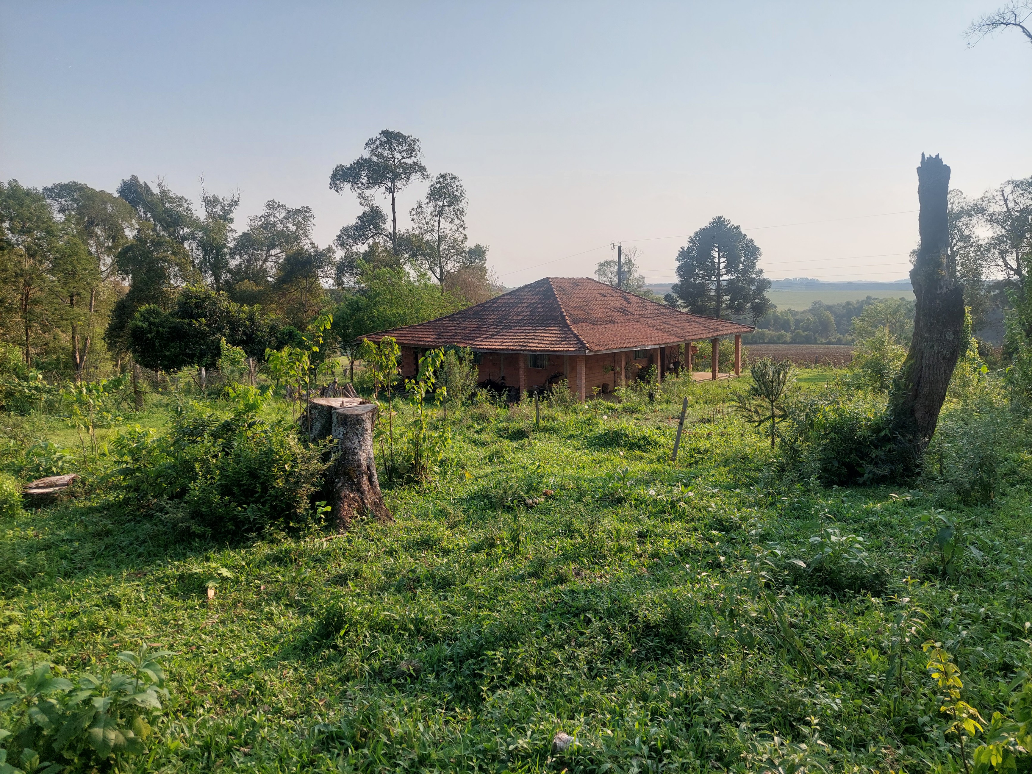 Imagem doSitio na localidade da FARTURA com 36.000m2 - 1.5 he de terra de planta - Casa em Alvenaria