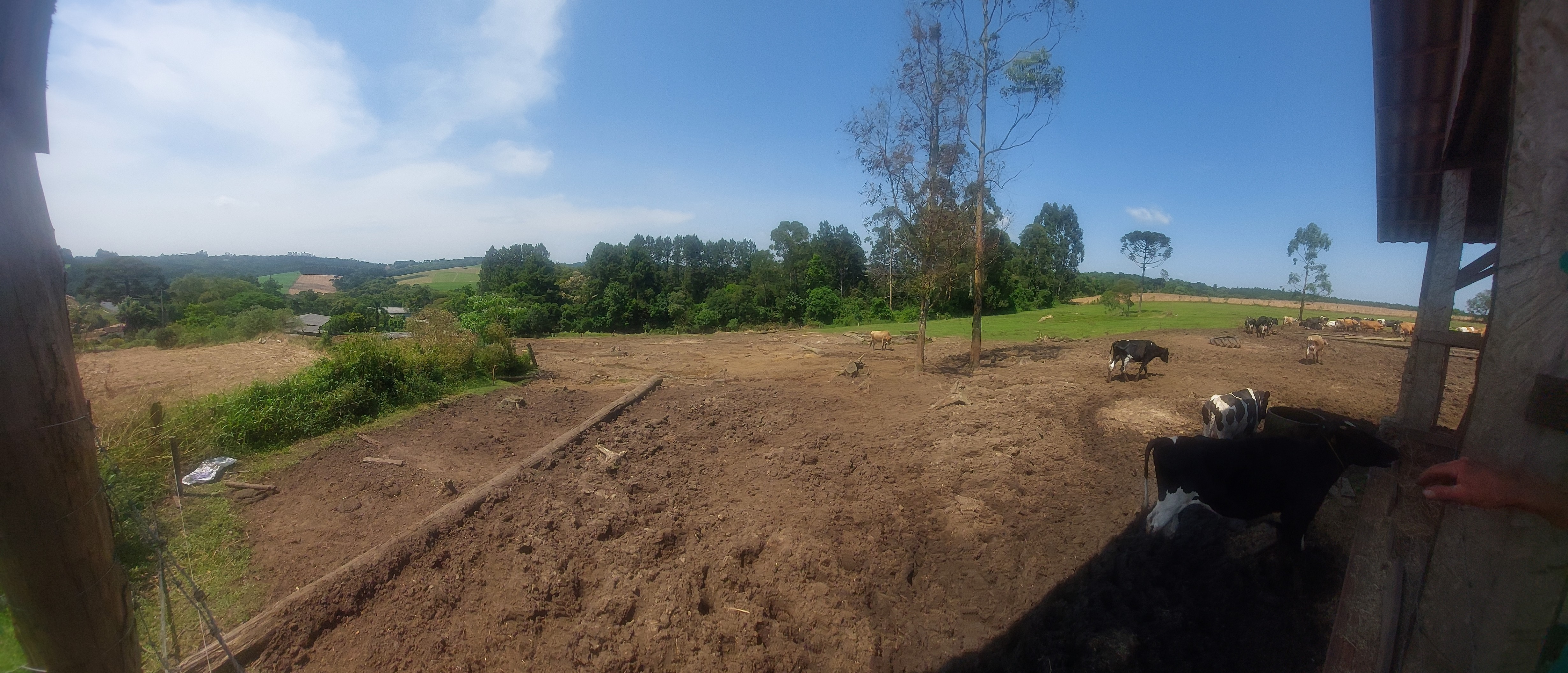 Imagem do Terreno Rural em Bela Vista do Sul - Mafra com 10.5 alqueires