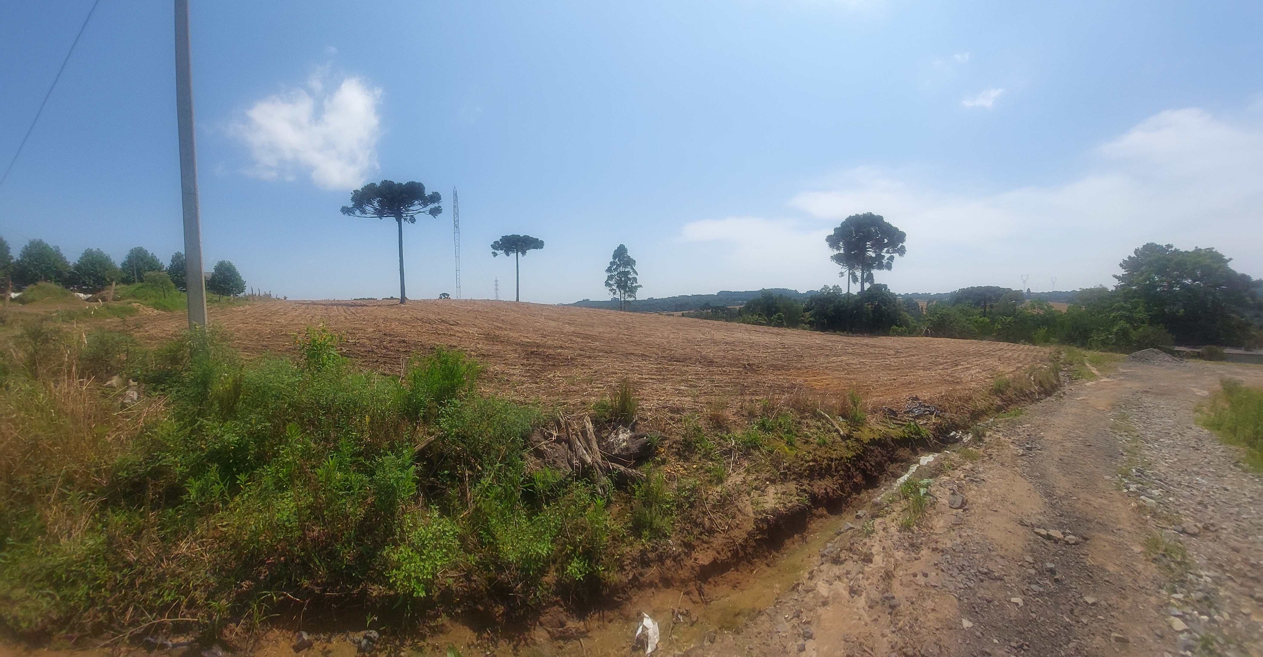 Imagem do Terreno Rural em Bela Vista do Sul - Mafra com 10.5 alqueires