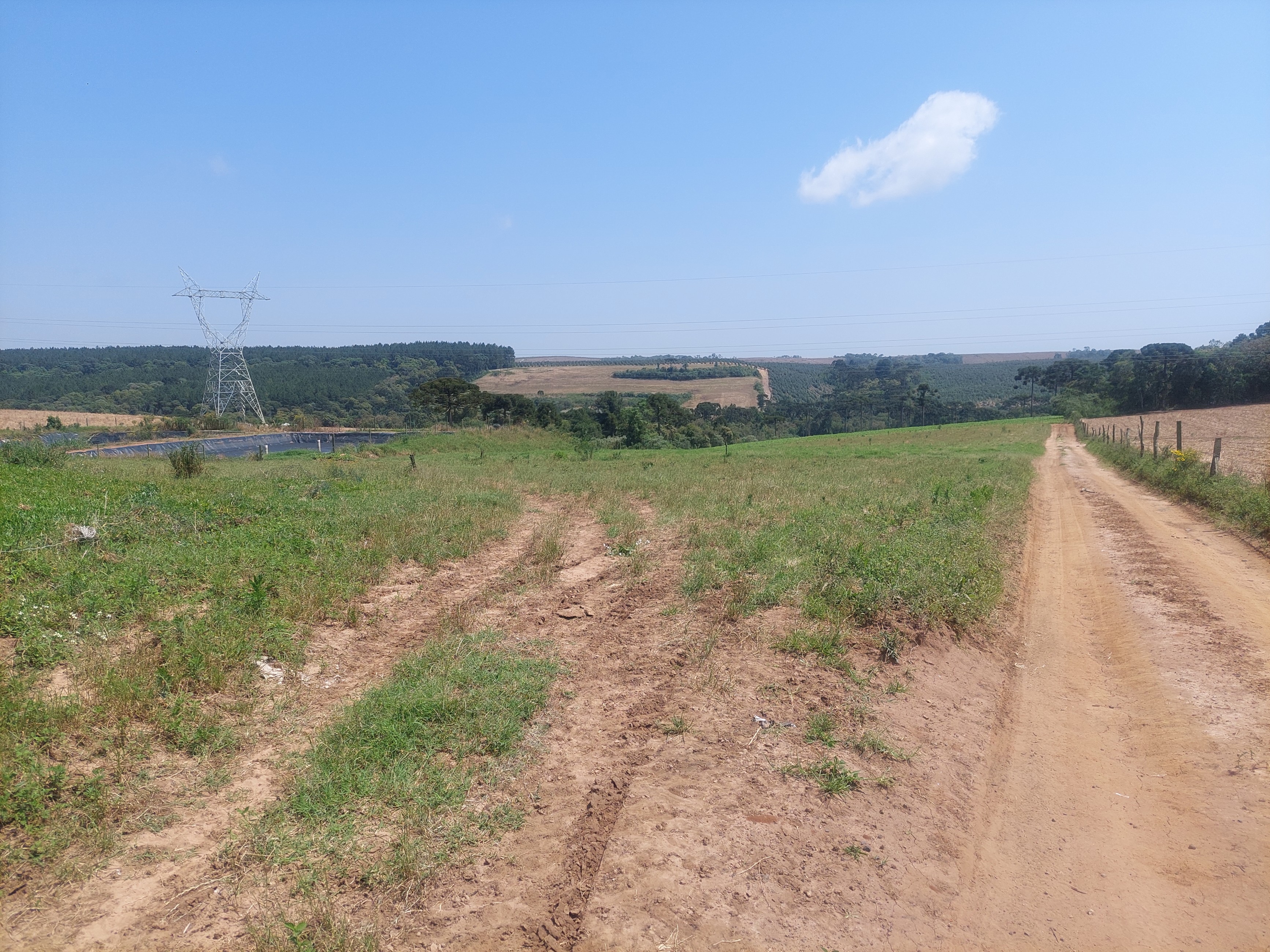 Imagem do Terreno Rural em Bela Vista do Sul - Mafra com 10.5 alqueires