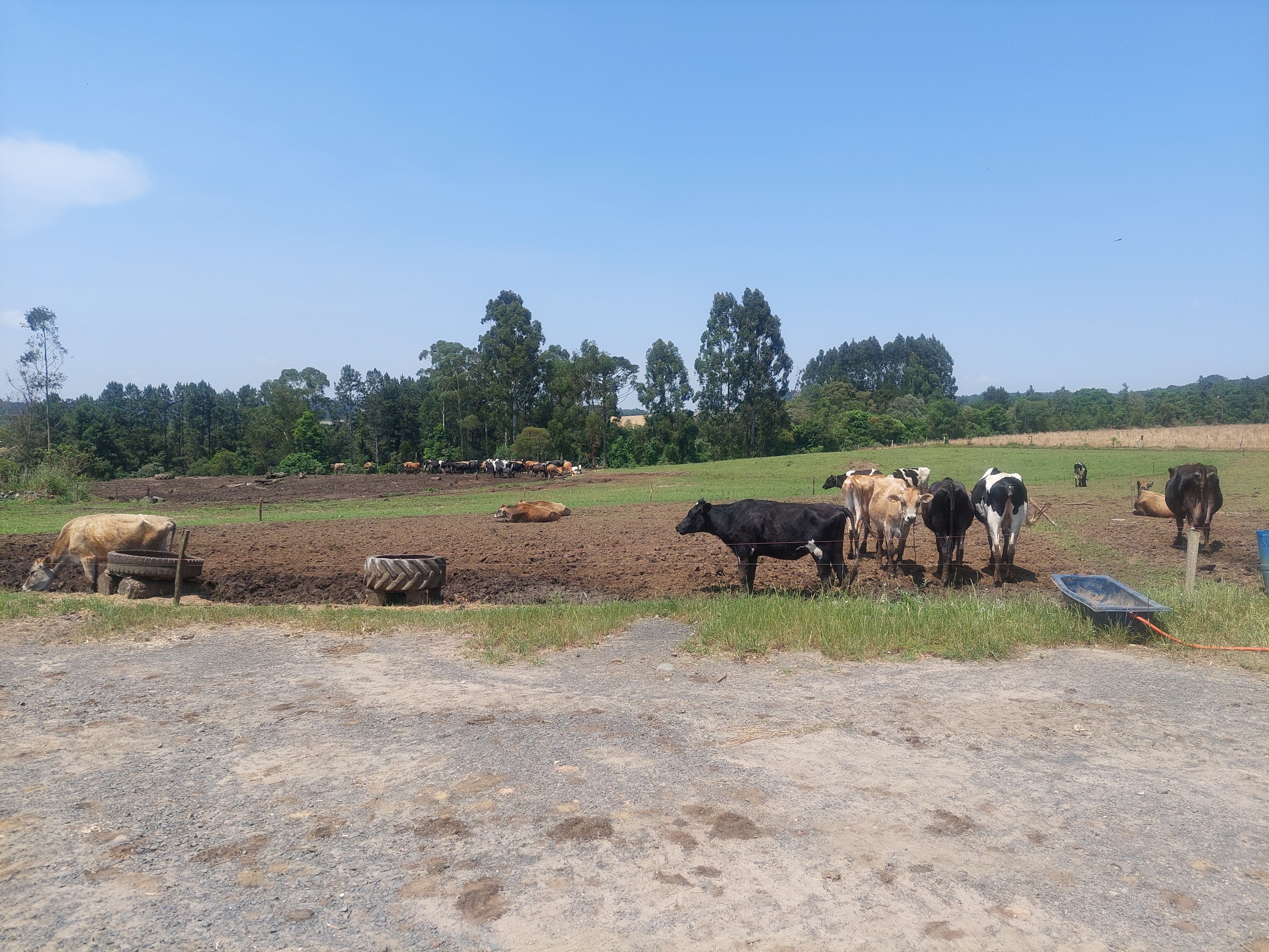 Imagem do Terreno Rural em Bela Vista do Sul - Mafra com 10.5 alqueires