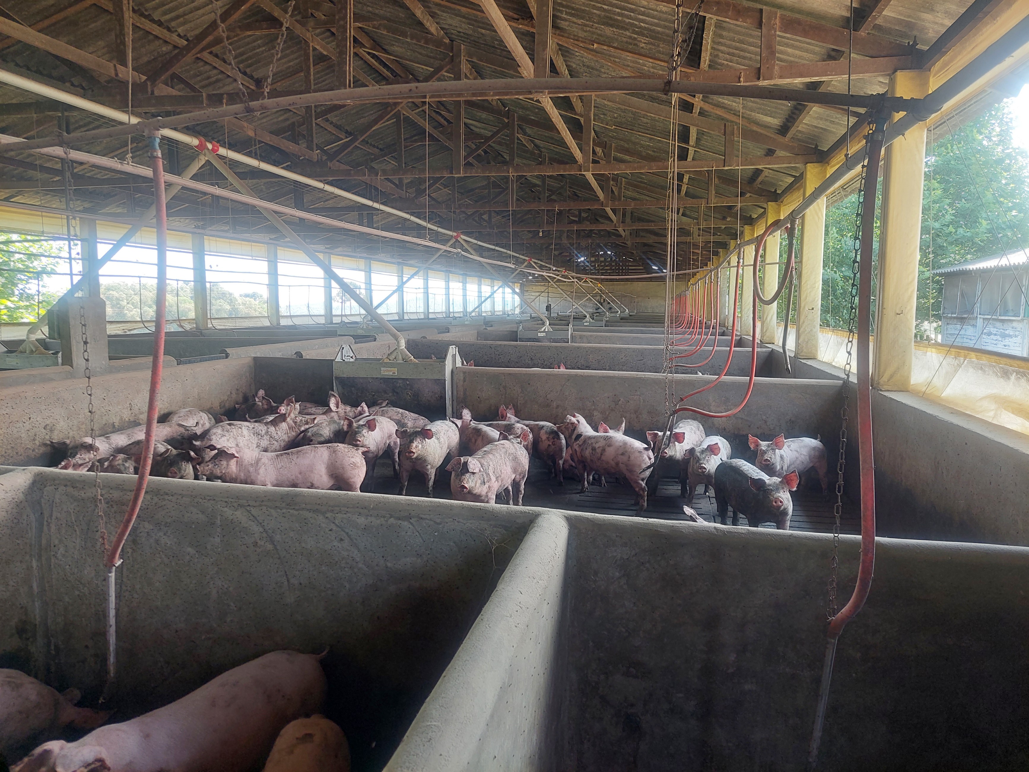 Imagem doTerreno Rural em Bela Vista do Sul - Mafra com 10.5 alqueires