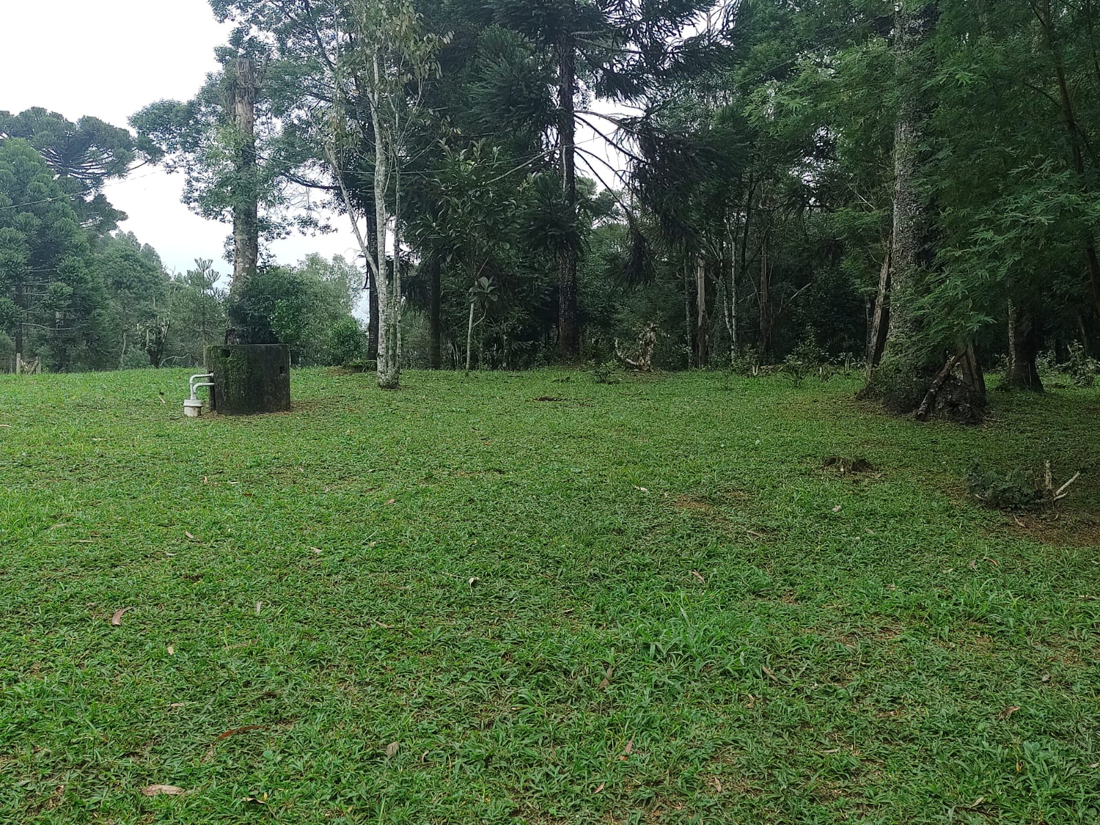 Imagem doSítio na localidade do Alto Piedade, Canoinhas - SC