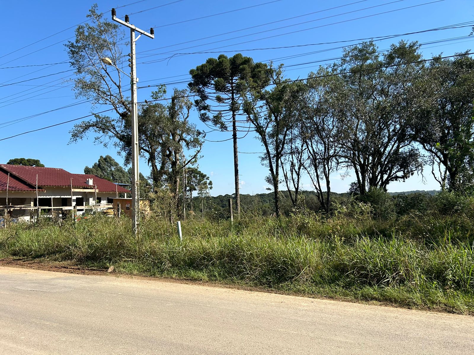 Imagem doCinco Lotes na Rua Augusto Kuchler - Frente para asfalto em em Bela Vista do Toldo - SC