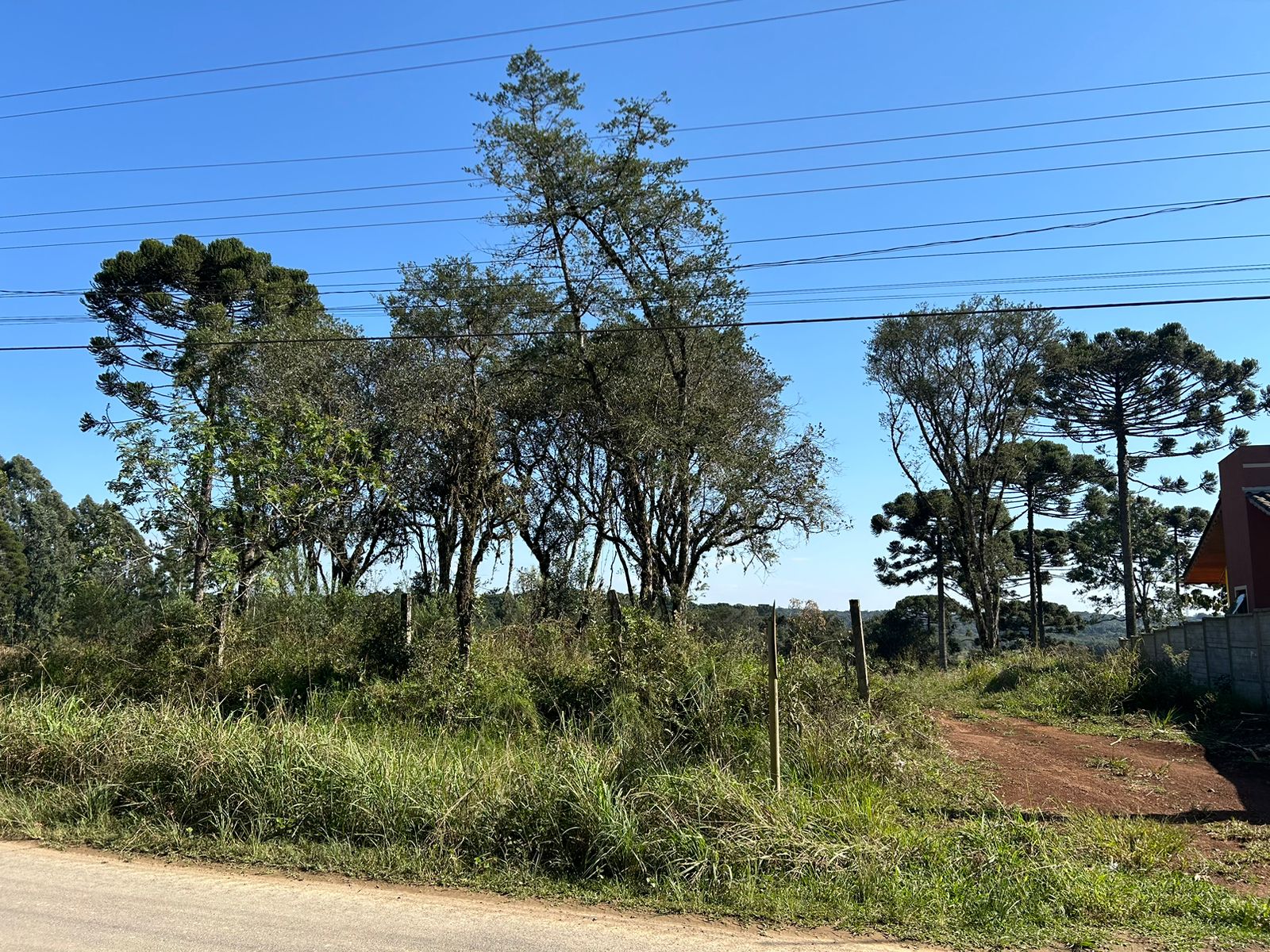 Imagem doCinco Lotes na Rua Augusto Kuchler - Frente para asfalto em em Bela Vista do Toldo - SC