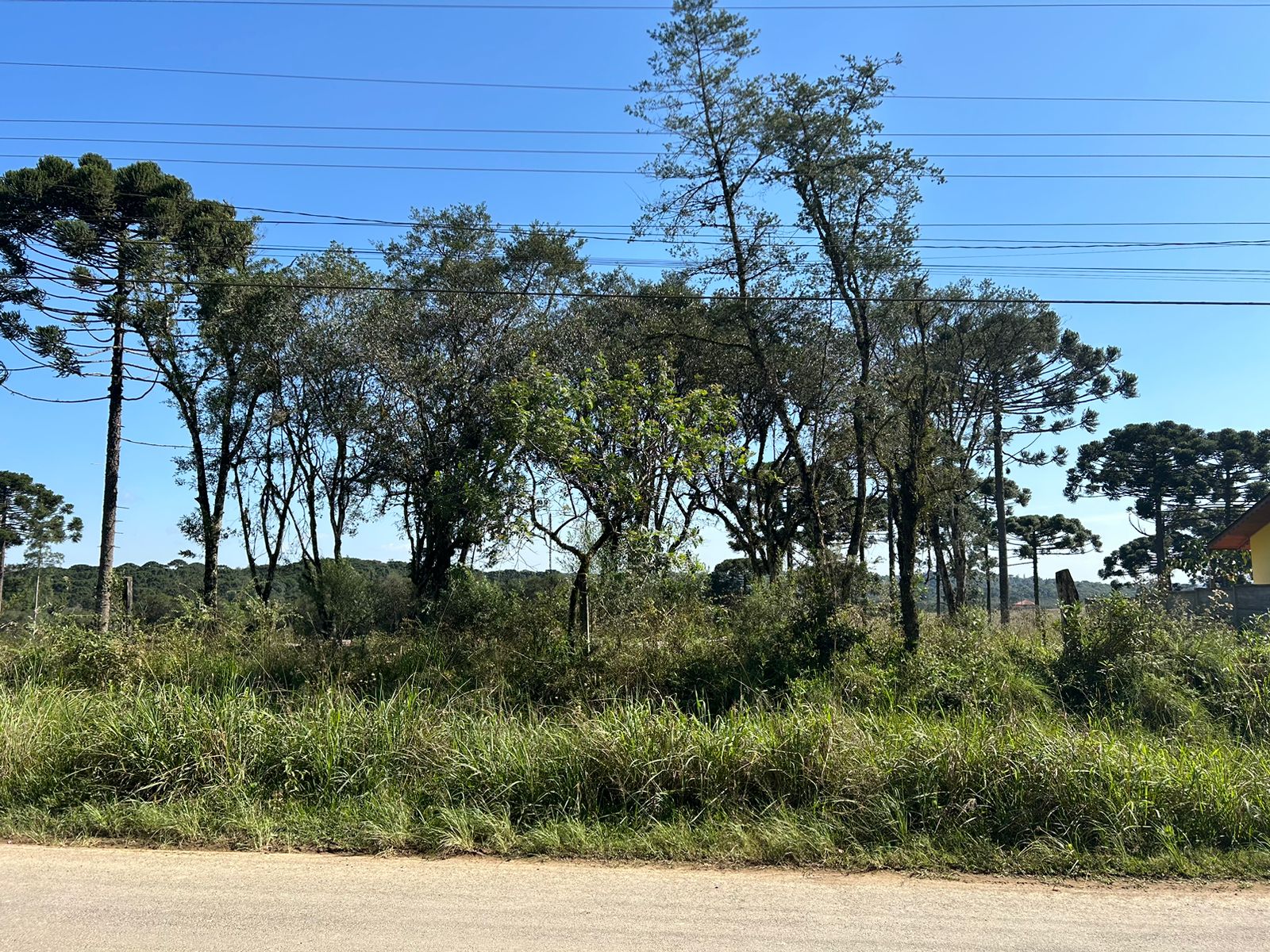 Imagem doCinco Lotes na Rua Augusto Kuchler - Frente para asfalto em em Bela Vista do Toldo - SC