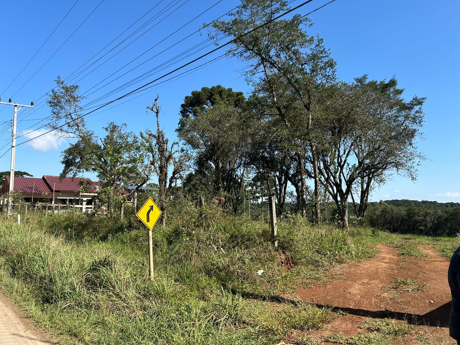 Imagem doCinco Lotes na Rua Augusto Kuchler - Frente para asfalto em em Bela Vista do Toldo - SC