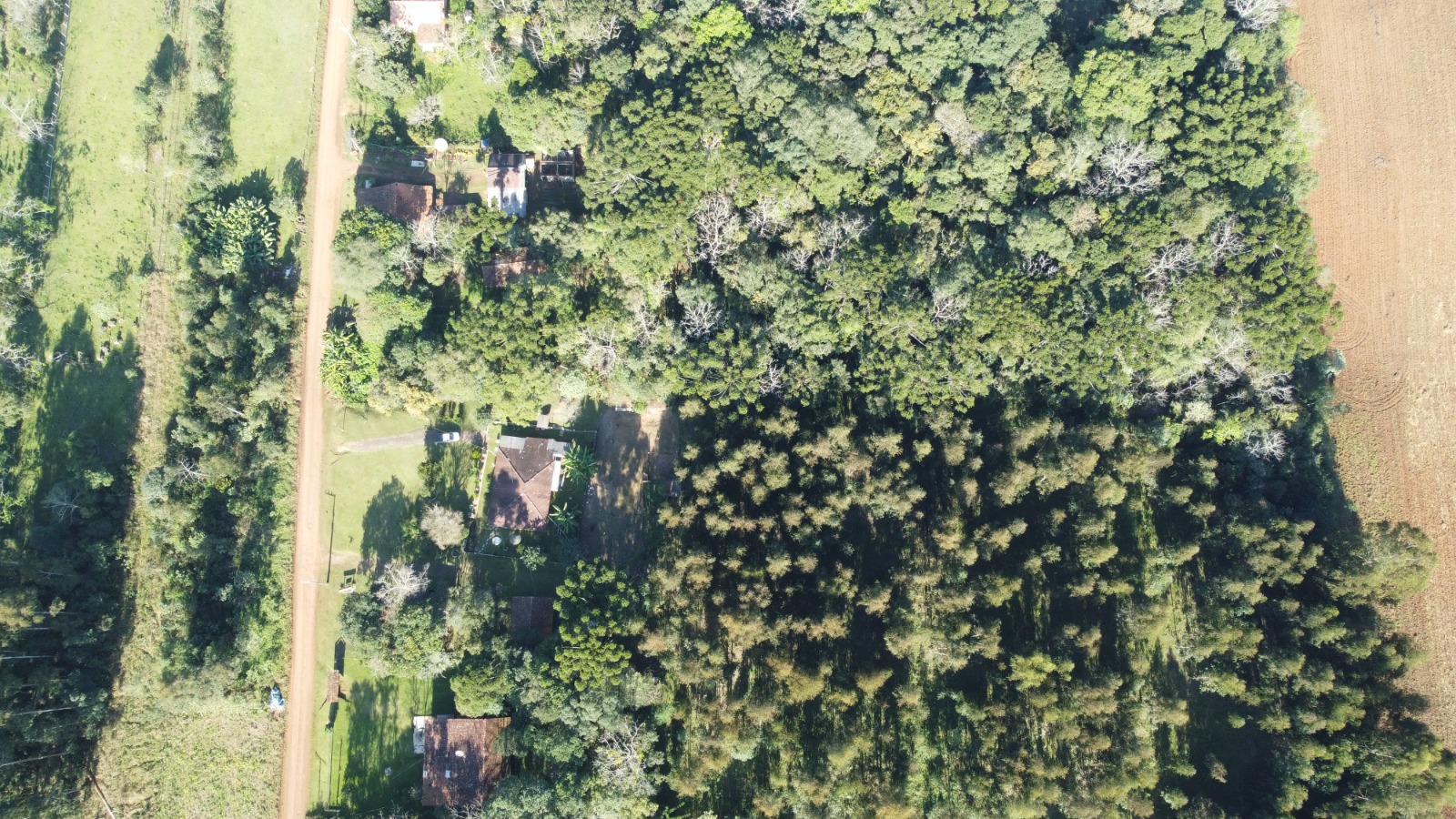 Imagem doCHÁCARA EM SANTA LEOCÁDIA A 150 METROS DO RIO IGUAÇU - COM 9.600 M2