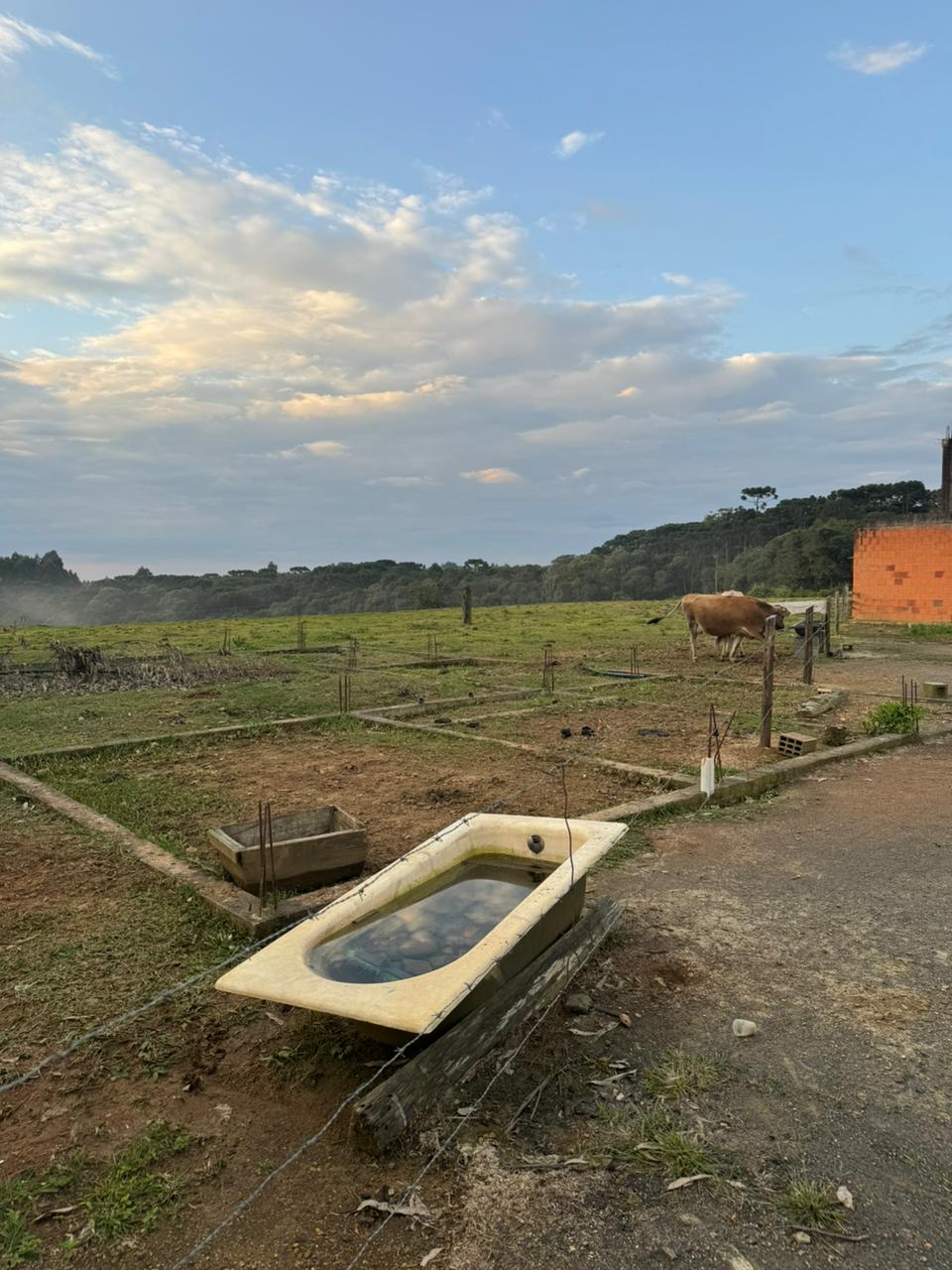 Imagem doChácara 2 tanques 2 poços artesianos em Mafra- SC - 500 metros da Br 280 Saída para Rio Negrinho.